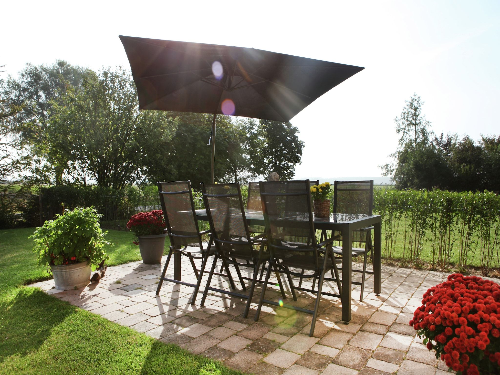 Het terras van Scoreldame 8-persoons in Schoorldam