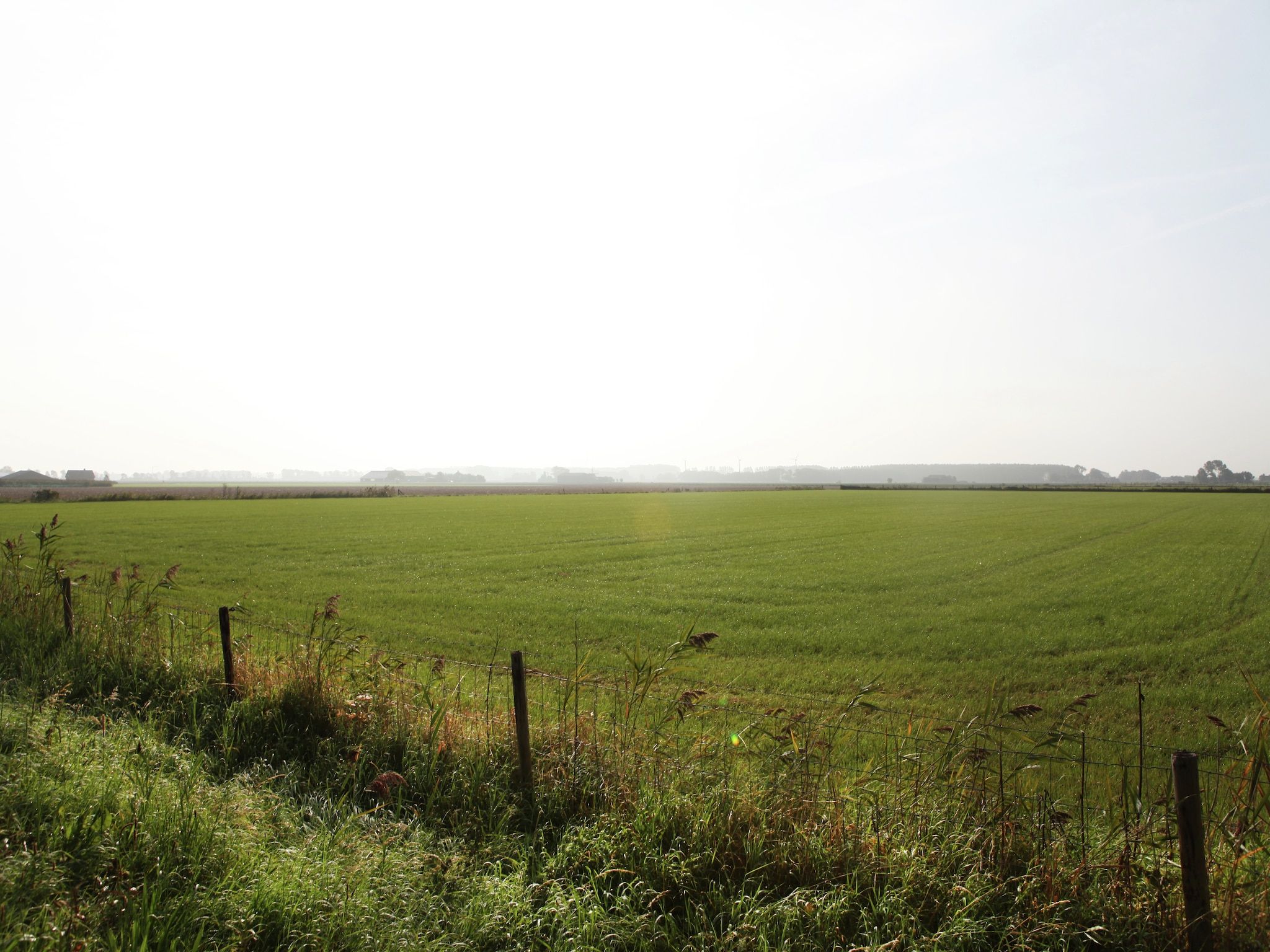 Het uitzicht vanaf Scoreldame 8-persoons in Schoorldam