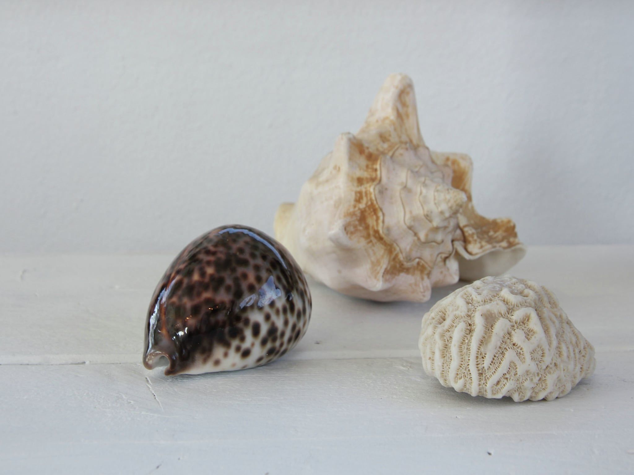 Sfeerbeeld van De Kustwachttoren in Huisduinen