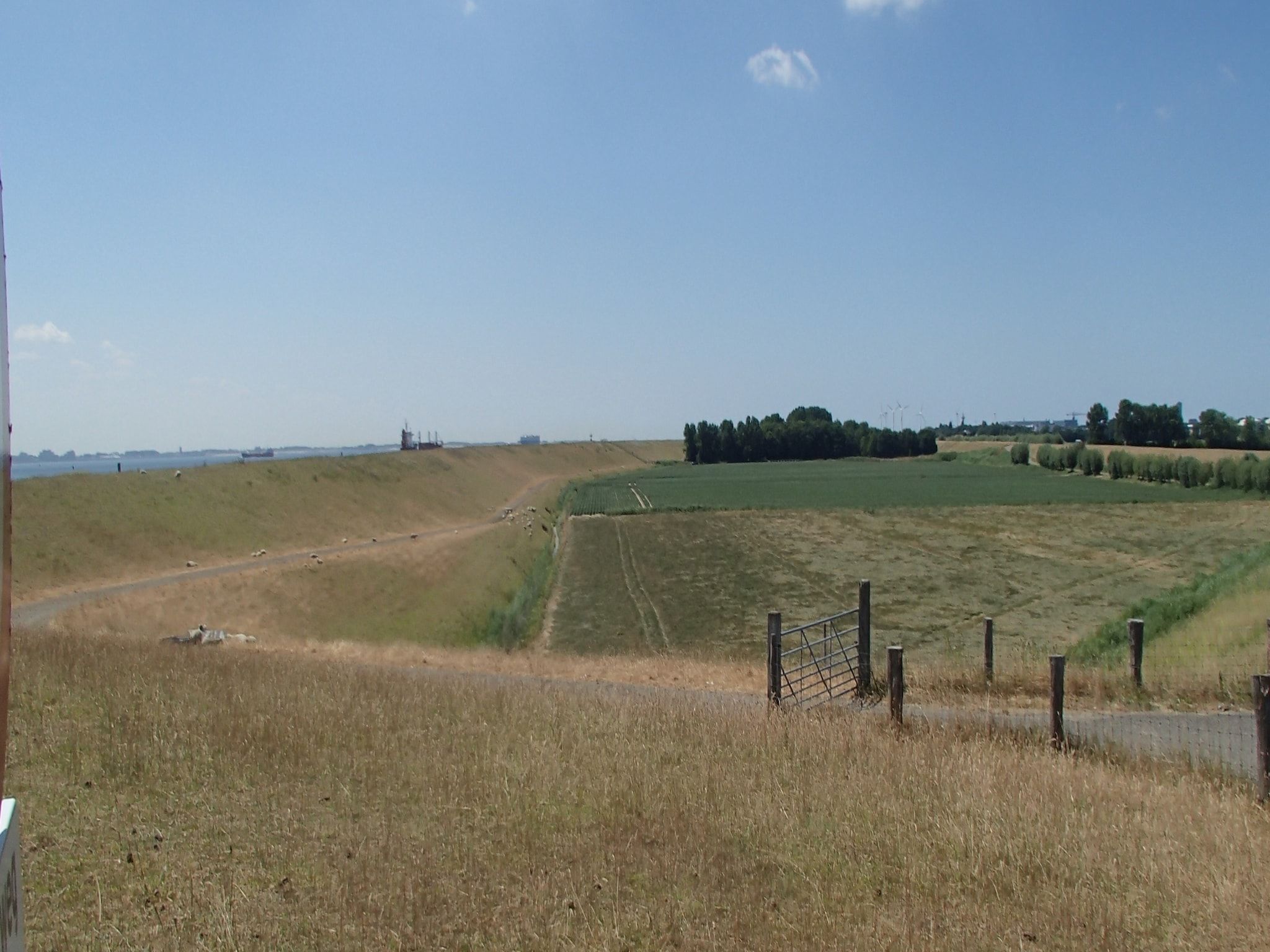 De omgeving van Ritthemse Pracht in Vlissingen-Ritthem