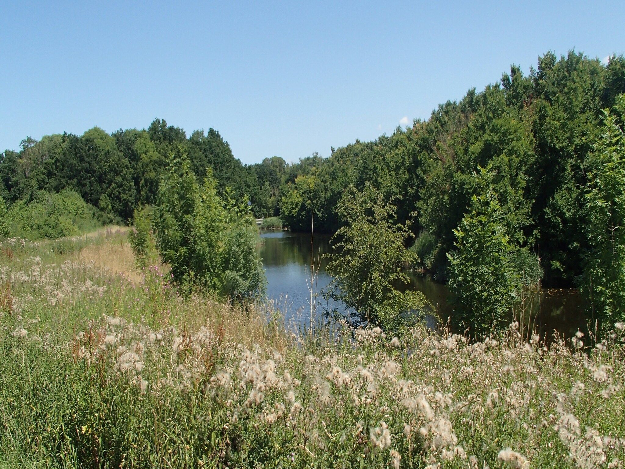 Ritthemse Pracht in Vlissingen-Ritthem - Foto 33 van 34