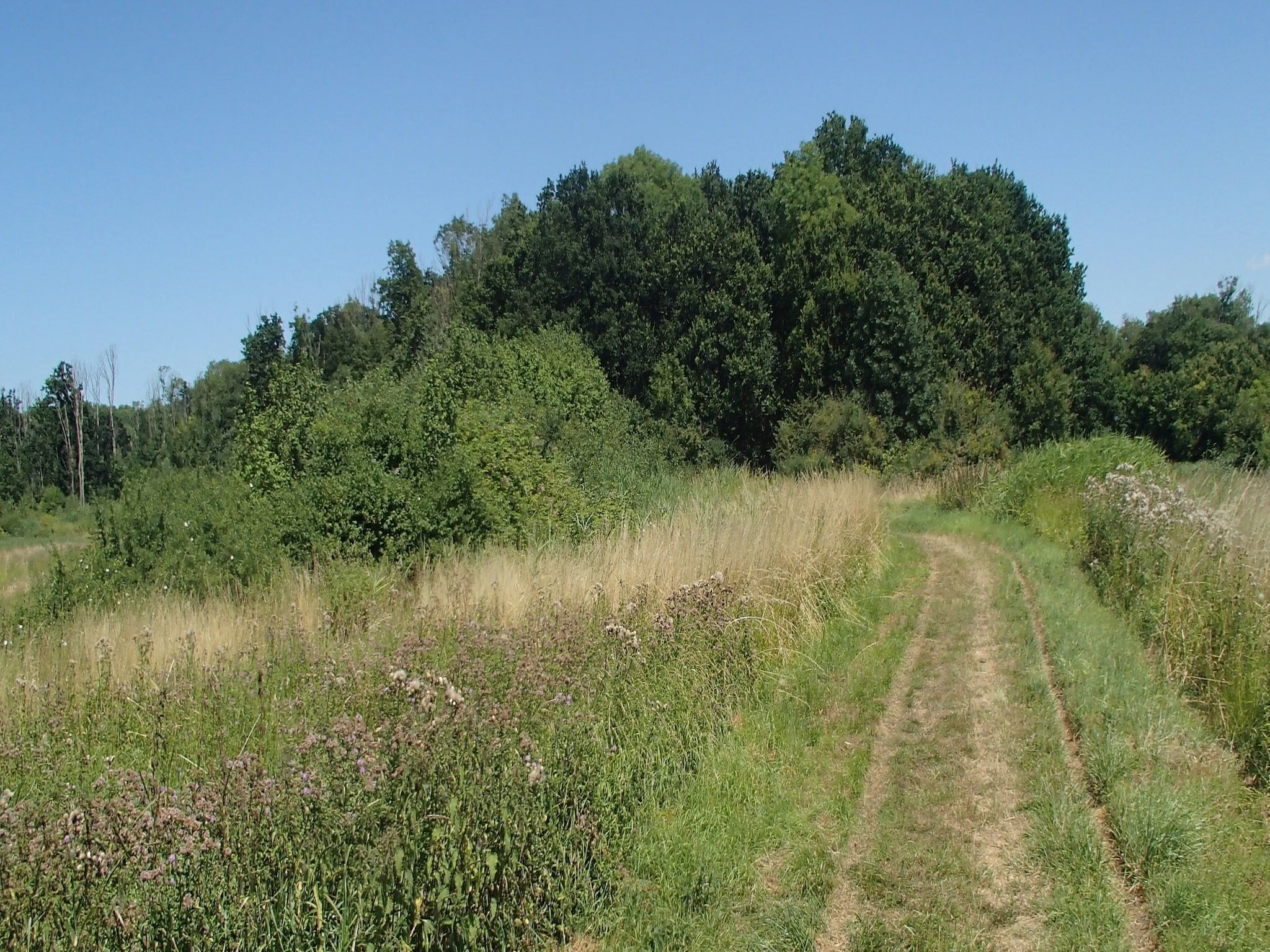 Ritthemse Pracht in Vlissingen-Ritthem - Foto 34 van 34