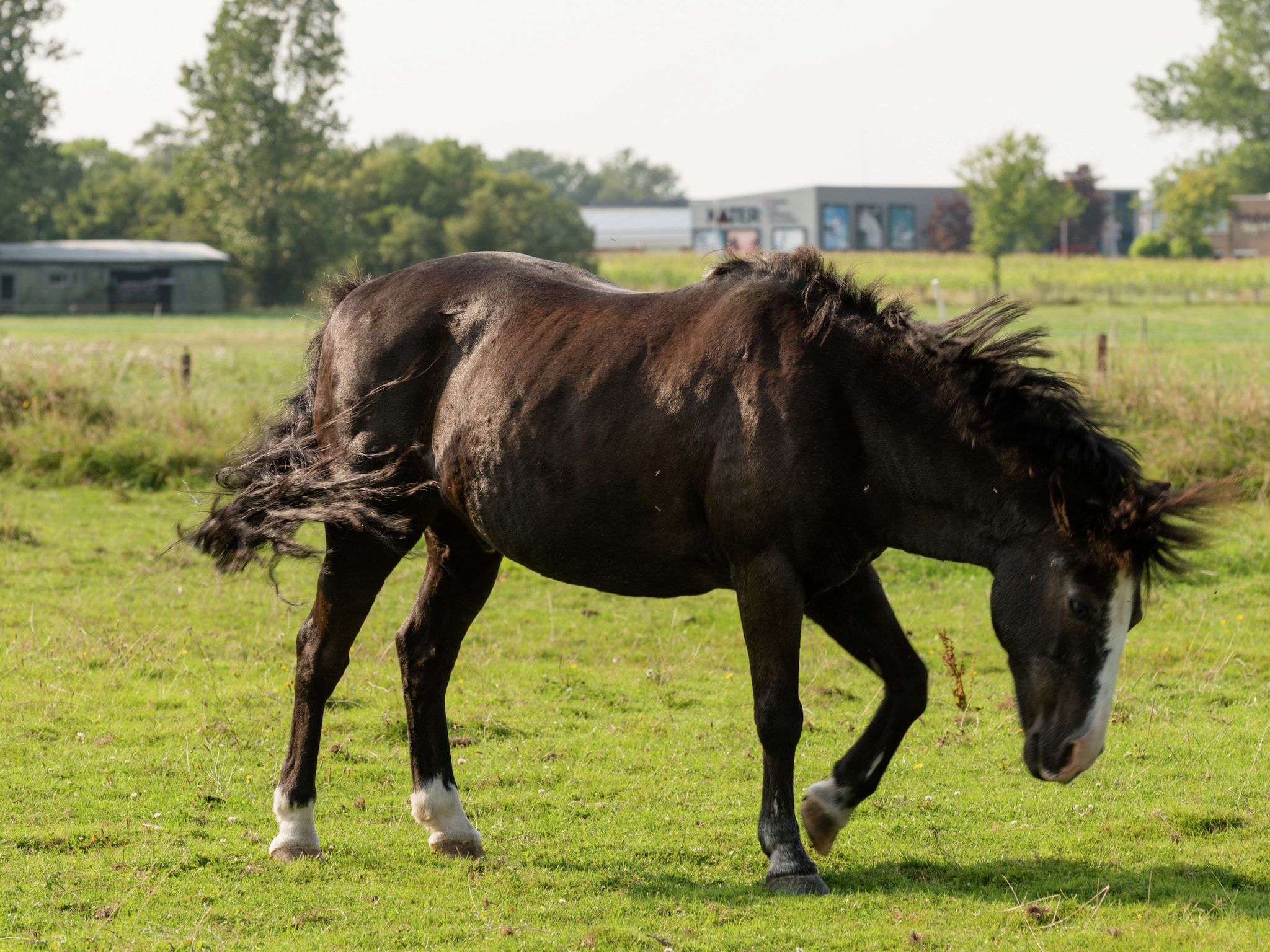 Sfeerbeeld van De Grutto in Hippolytushoef
