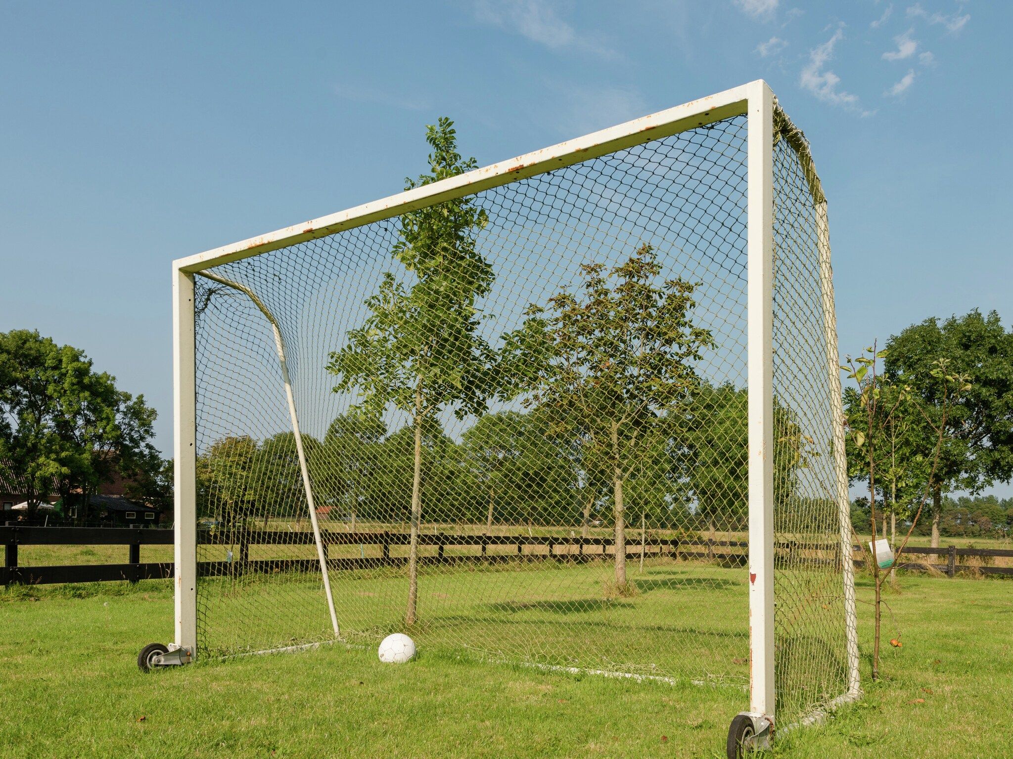 De tuin van De Grutto in Hippolytushoef