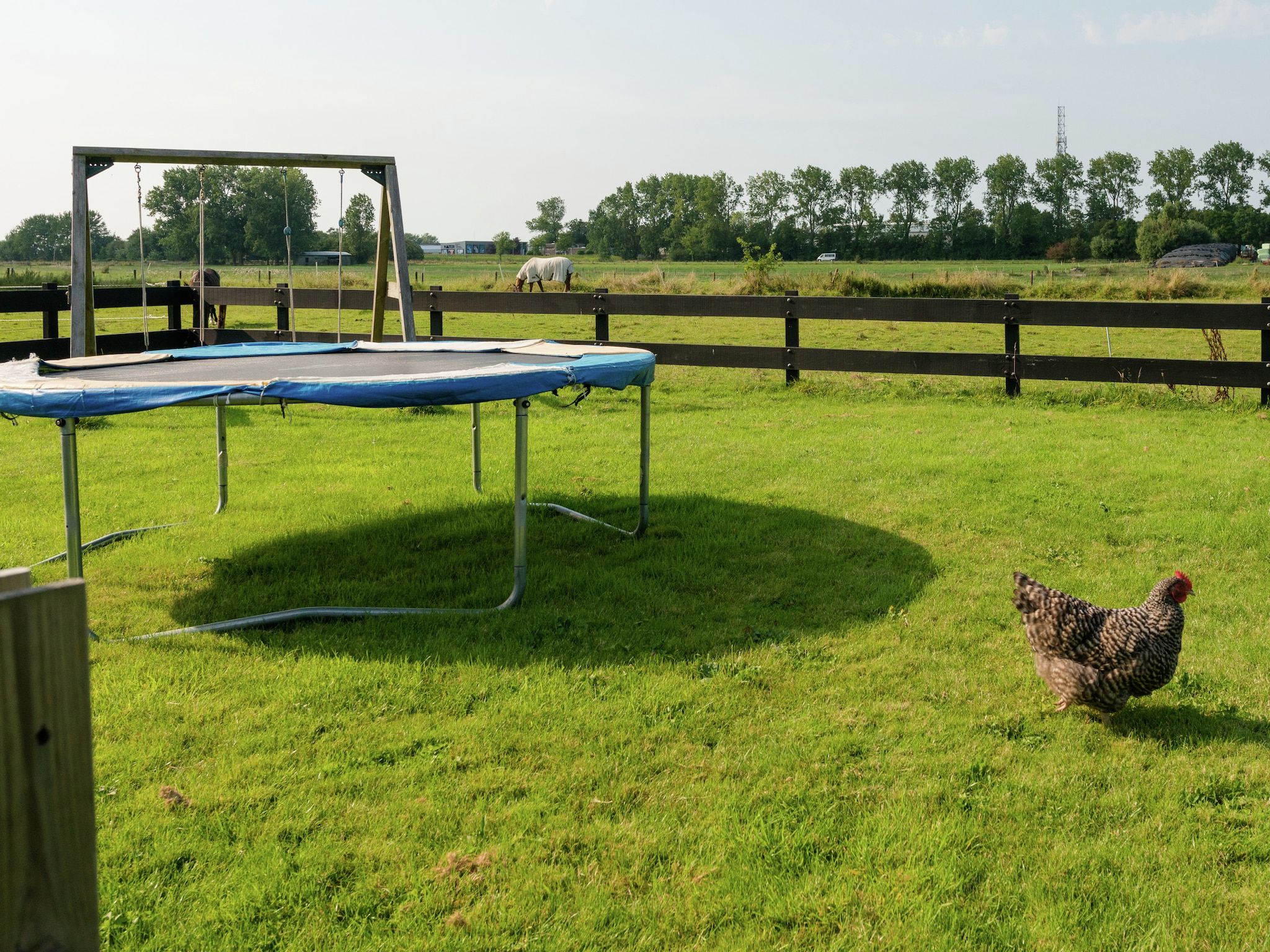 De tuin van De Grutto in Hippolytushoef