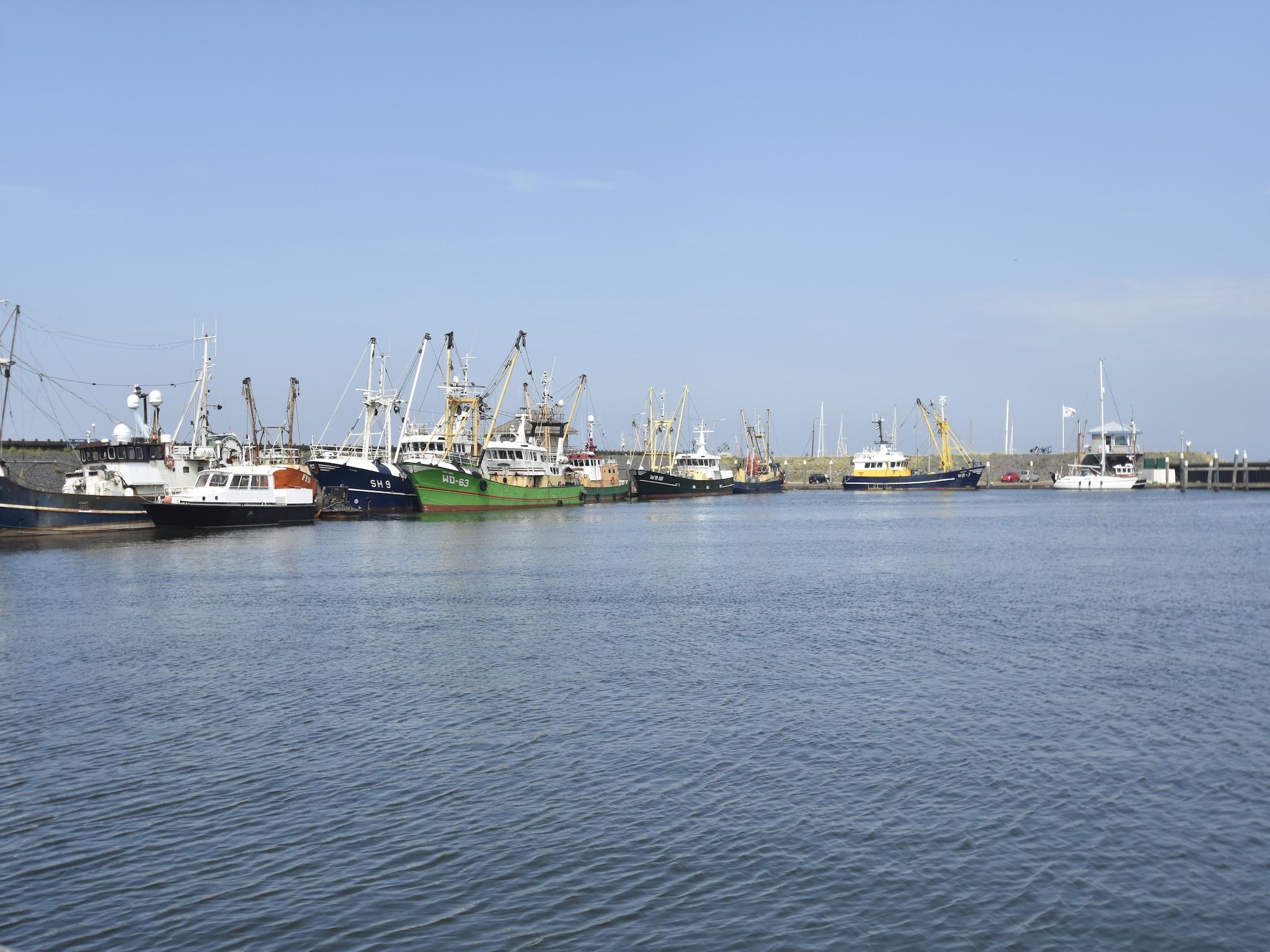 De omgeving van De Grutto in Hippolytushoef