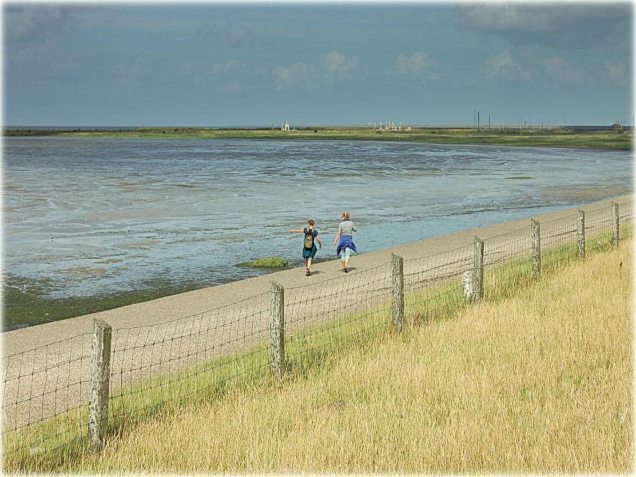 De Grutto in Hippolytushoef - Foto 34 van 40