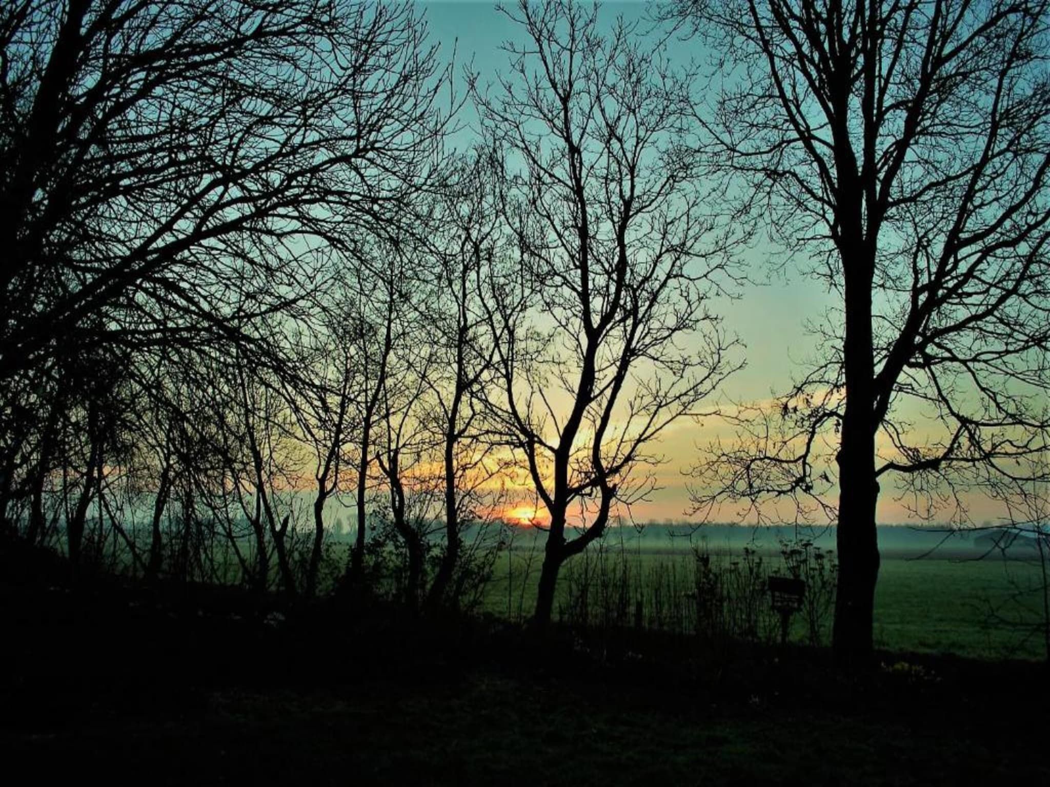 De Grutto in Hippolytushoef - Foto 35 van 40