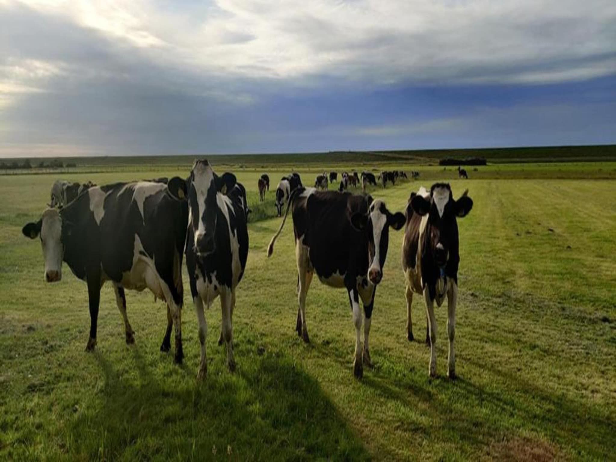 De Grutto in Hippolytushoef - Foto 39 van 40