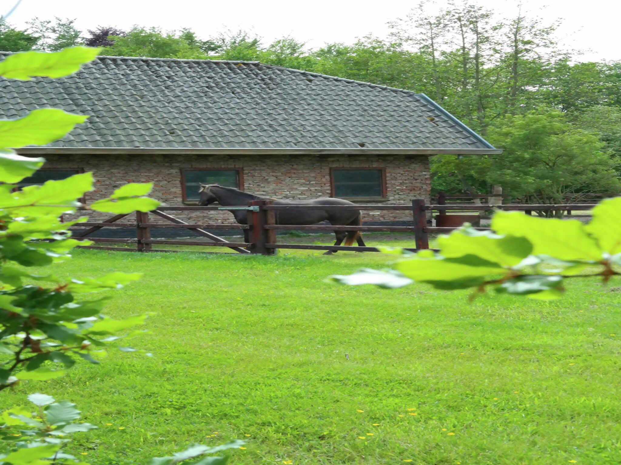 De omgeving van De Ronde O in Heiloo
