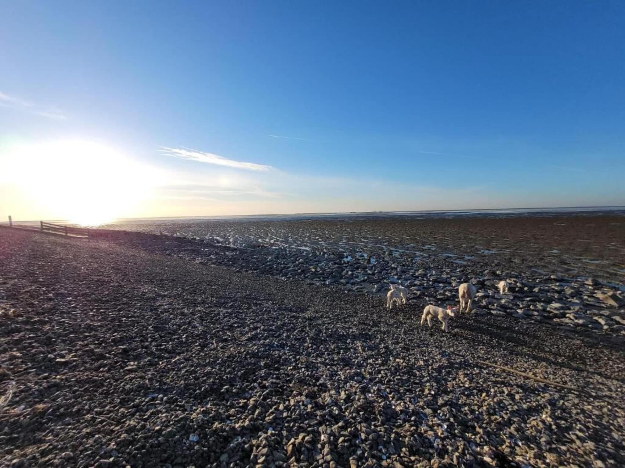 Berkenhof in Workum - Foto 34 van 40