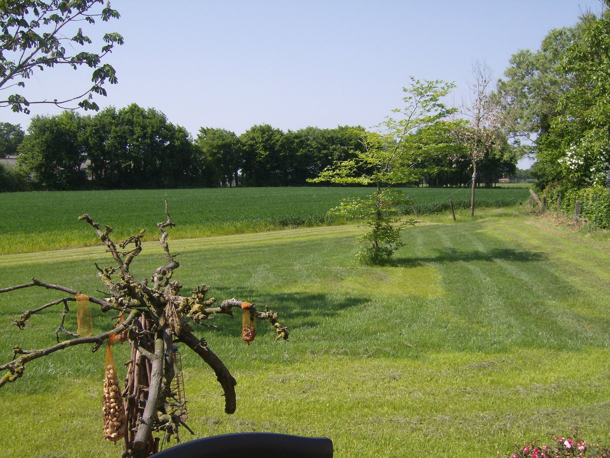 De tuin van Dekenkist in Geesteren