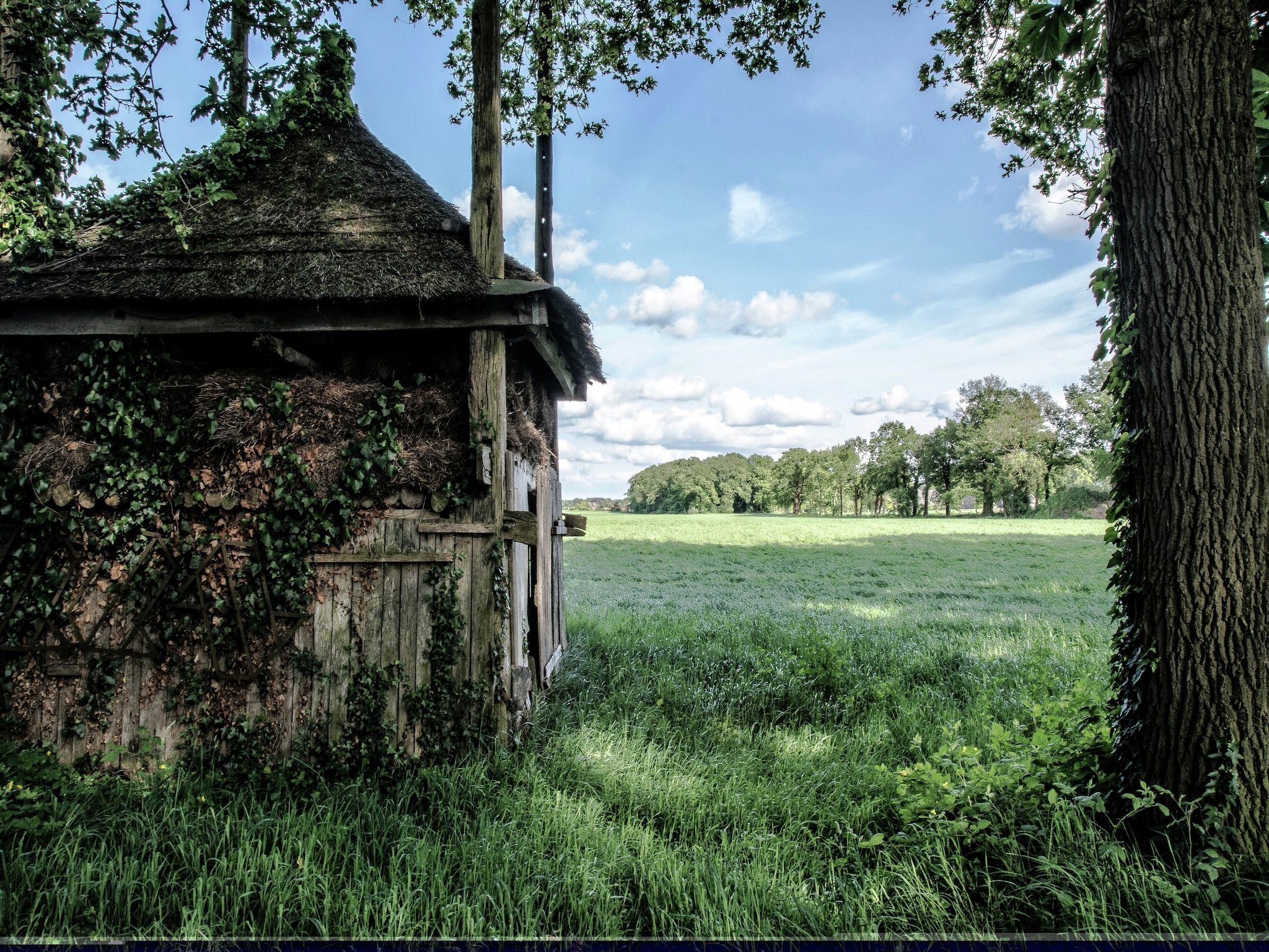 Dekenkist in Geesteren - Foto 21 van 35