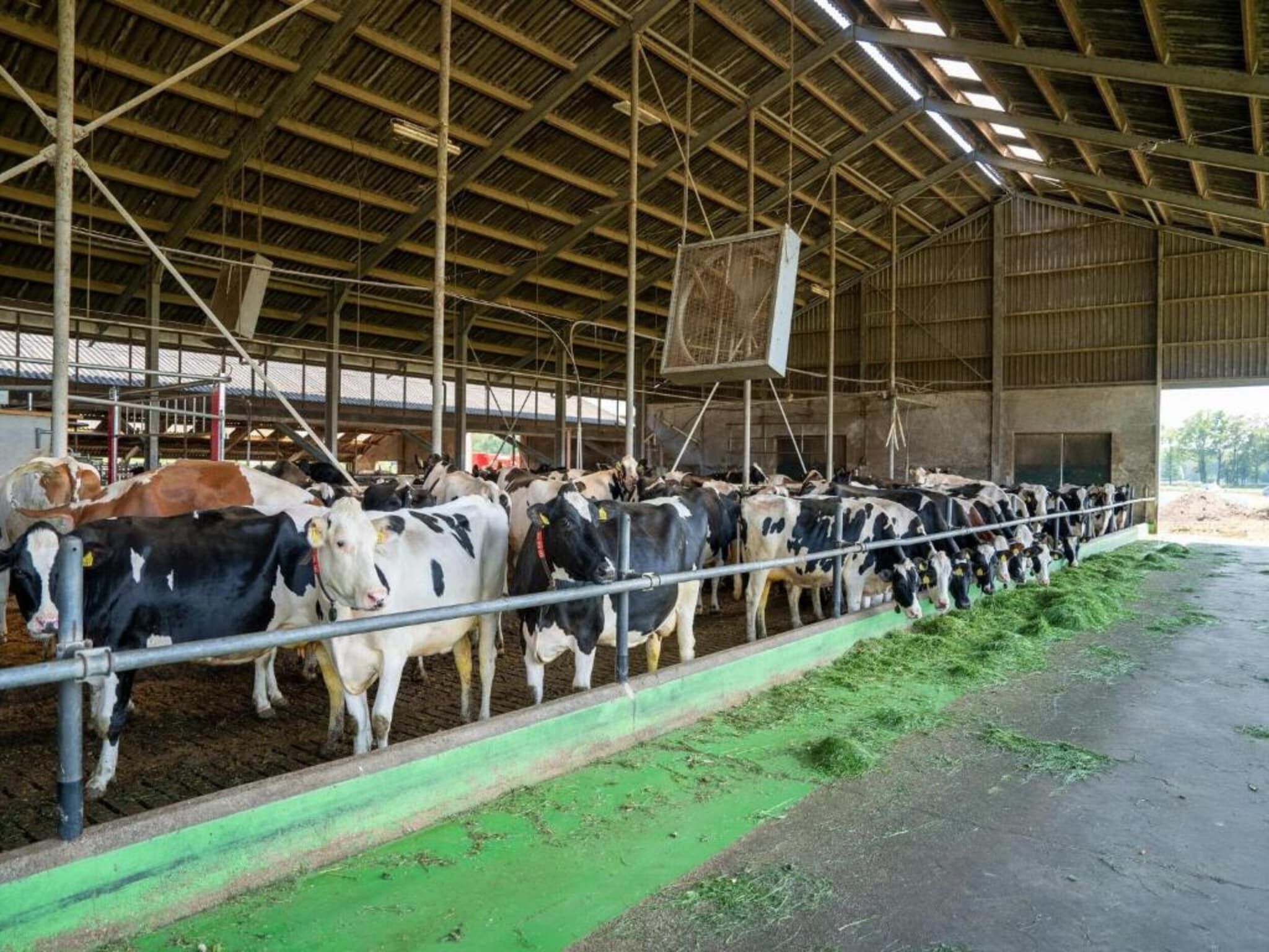 Dekenkist in Geesteren - Foto 24 van 35