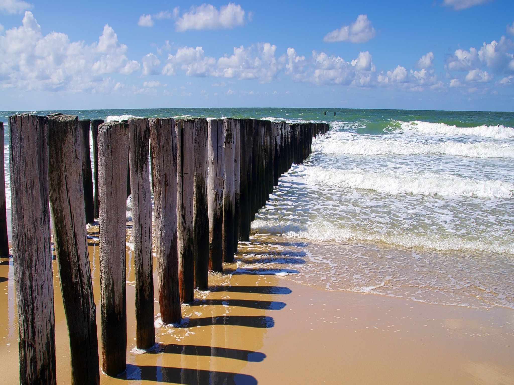 De omgeving van Zeeuwse Weelde - 1 in Colijnsplaat