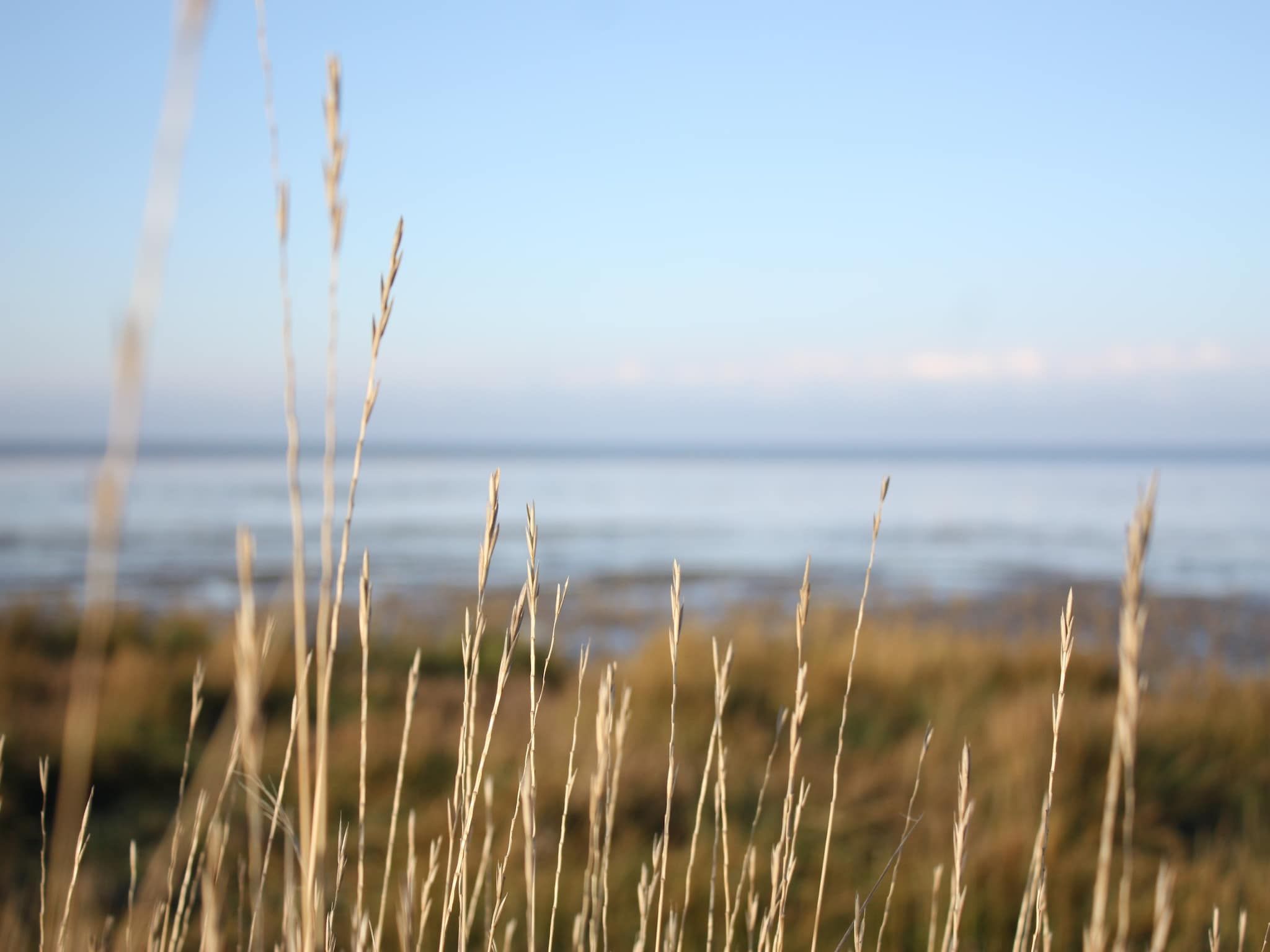 Zeedijk I in Tzummarum - Foto 36 van 40