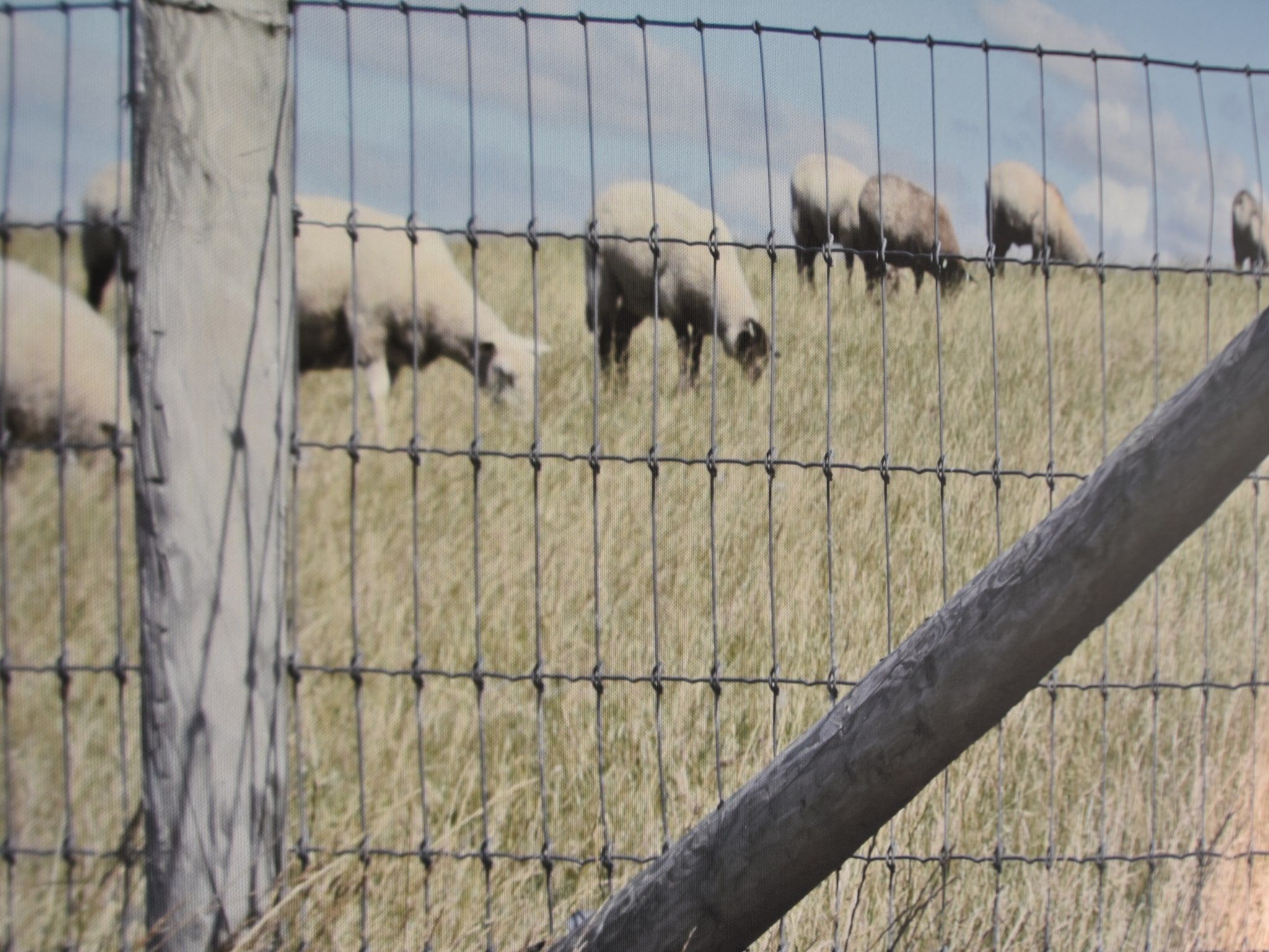 Sfeerbeeld van Zeedijk I in Tzummarum