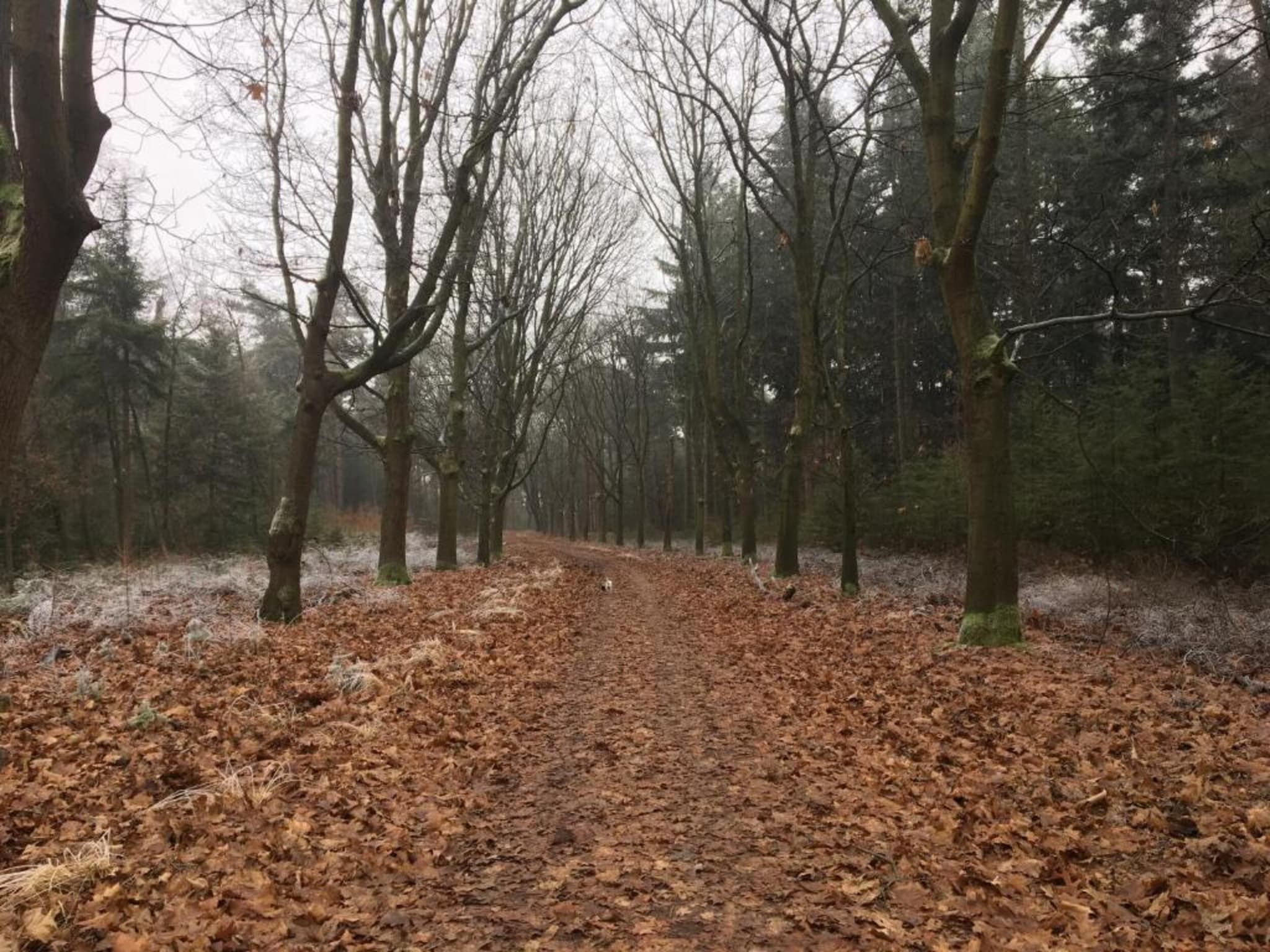 Dorpswoning Op Niveau in Leende - Foto 31 van 40