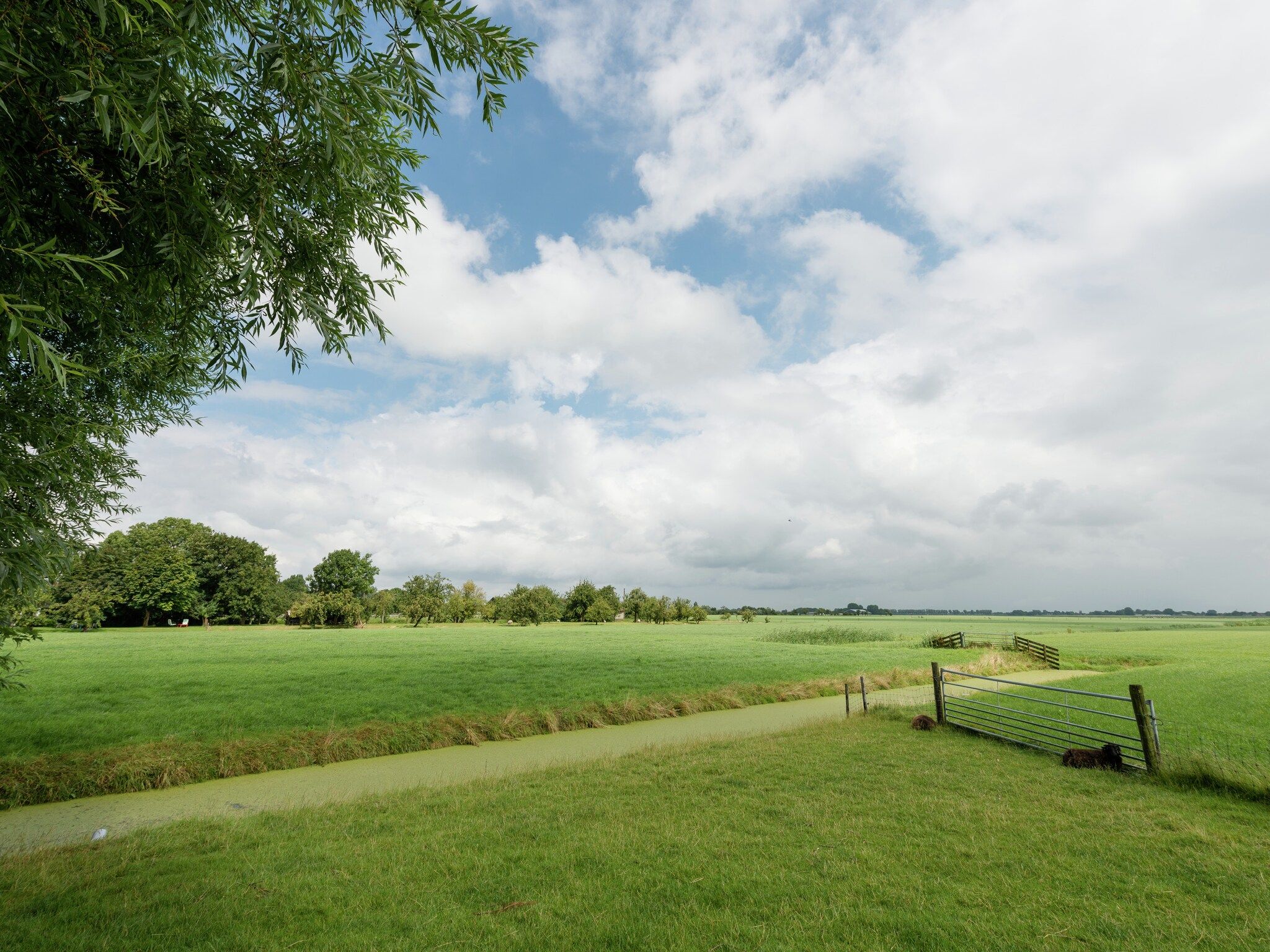 Het uitzicht vanaf Opvakantiebijdeboer in Schellinkhout