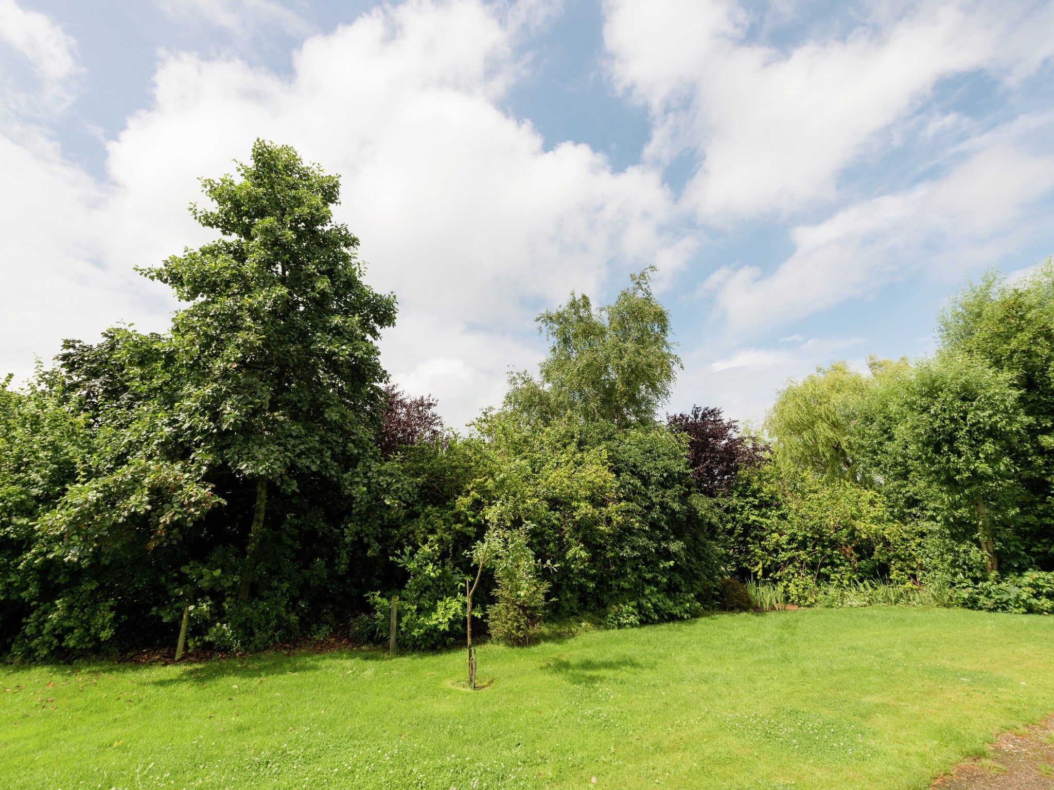 De tuin van Opvakantiebijdeboer in Schellinkhout