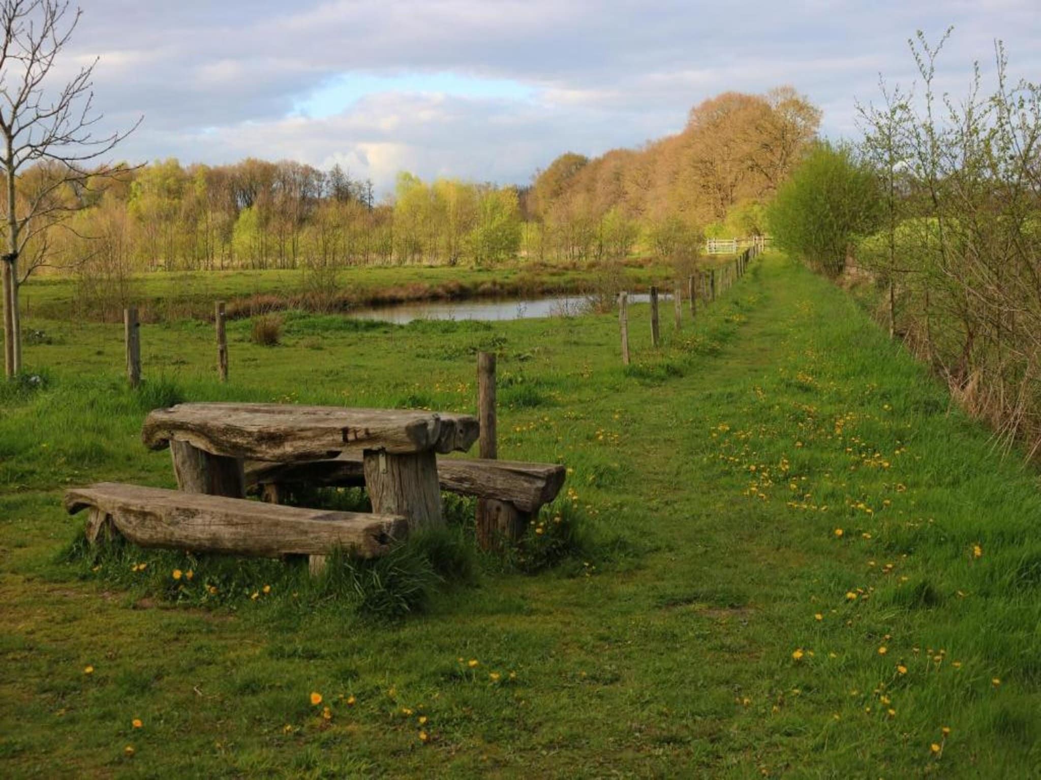 De omgeving van Hof van Salland 1 in Hellendoorn