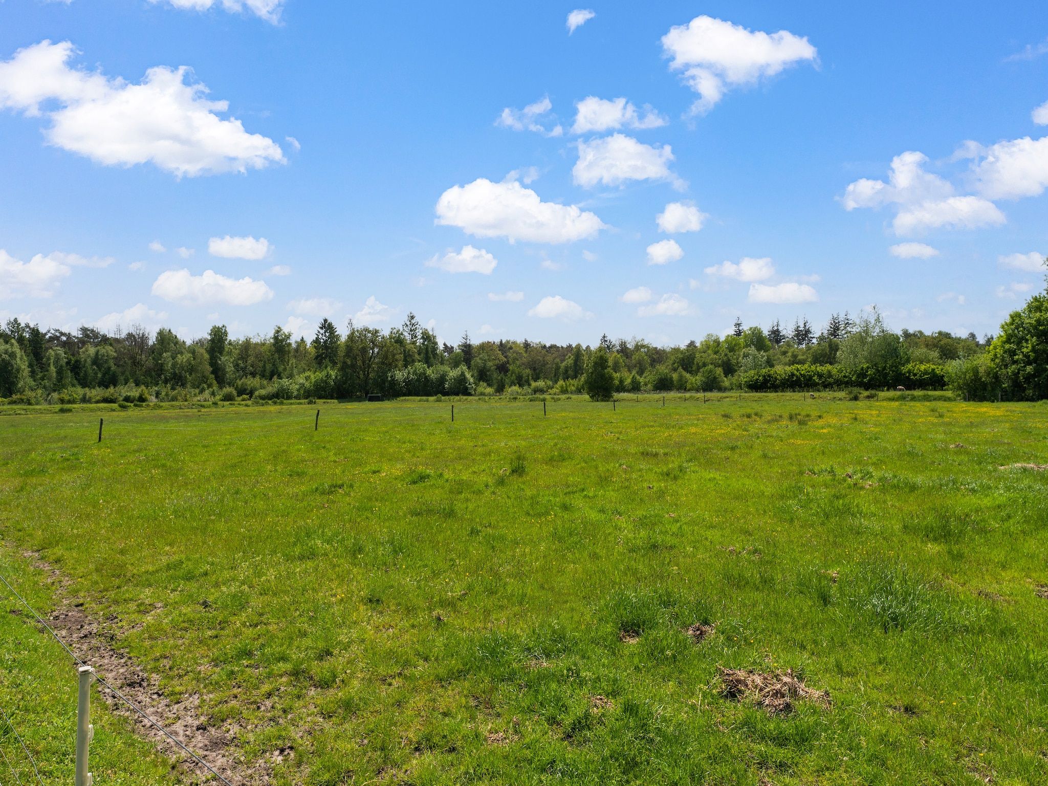 De omgeving van Natuurhuis Dichtbij in Beilen