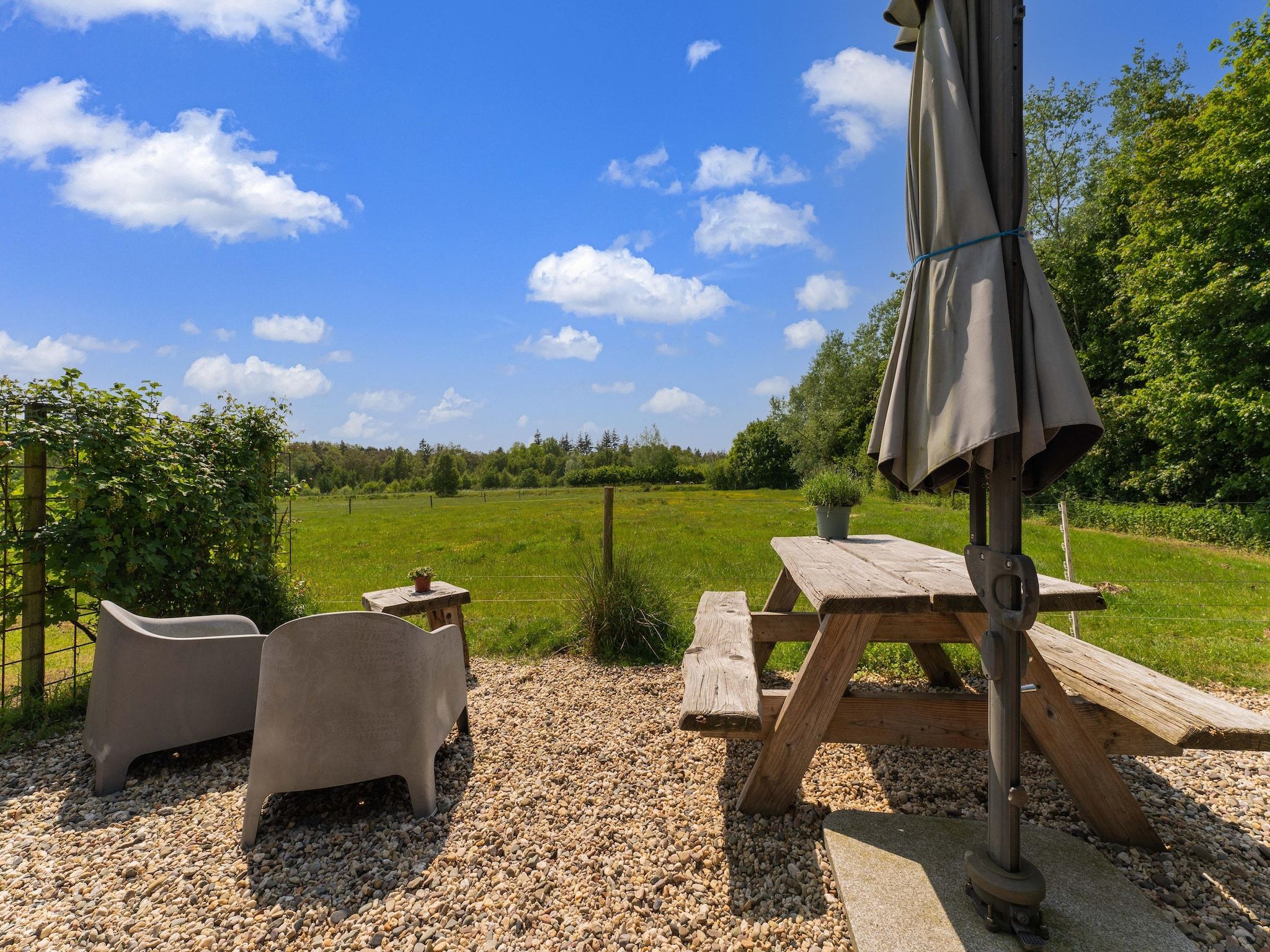 De tuin van Natuurhuis Dichtbij in Beilen
