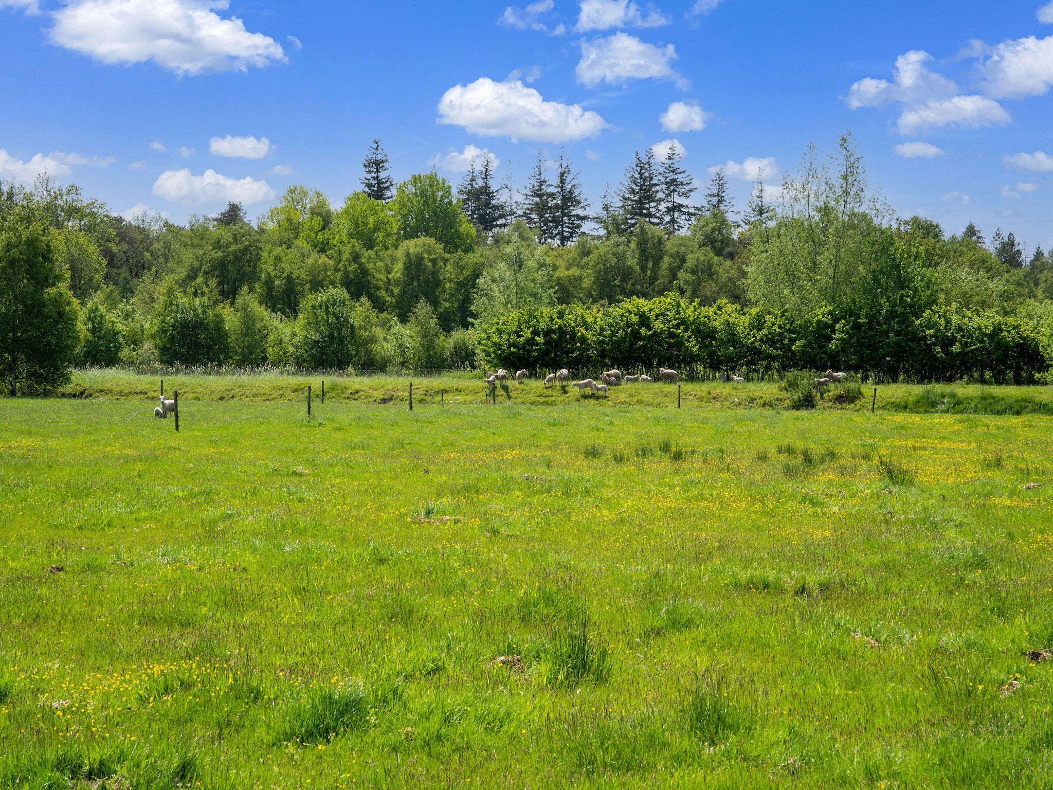 Natuurhuis Dichtbij in Beilen - Foto 35 van 40