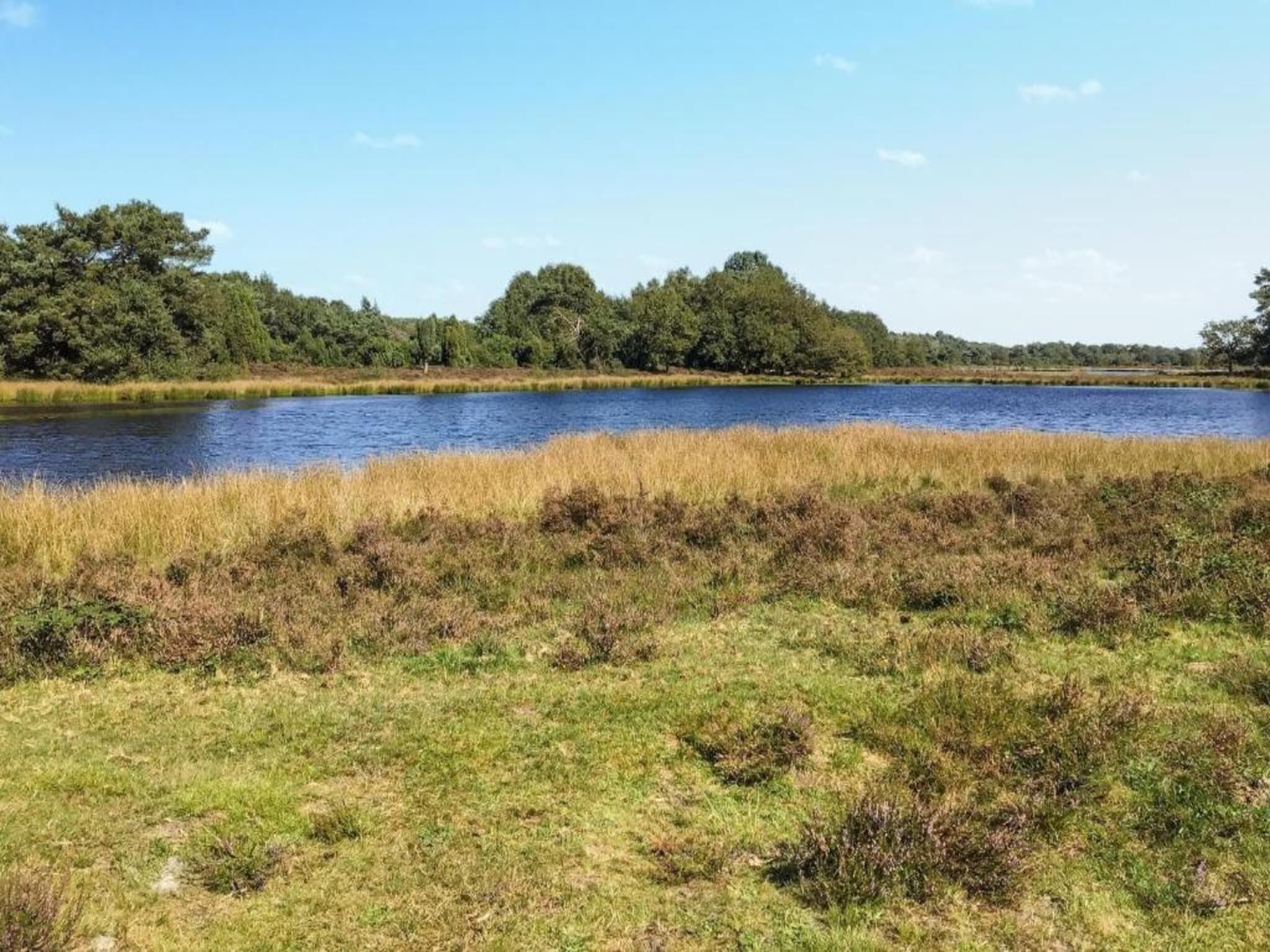 De omgeving van Natuurhuis Dichtbij in Beilen
