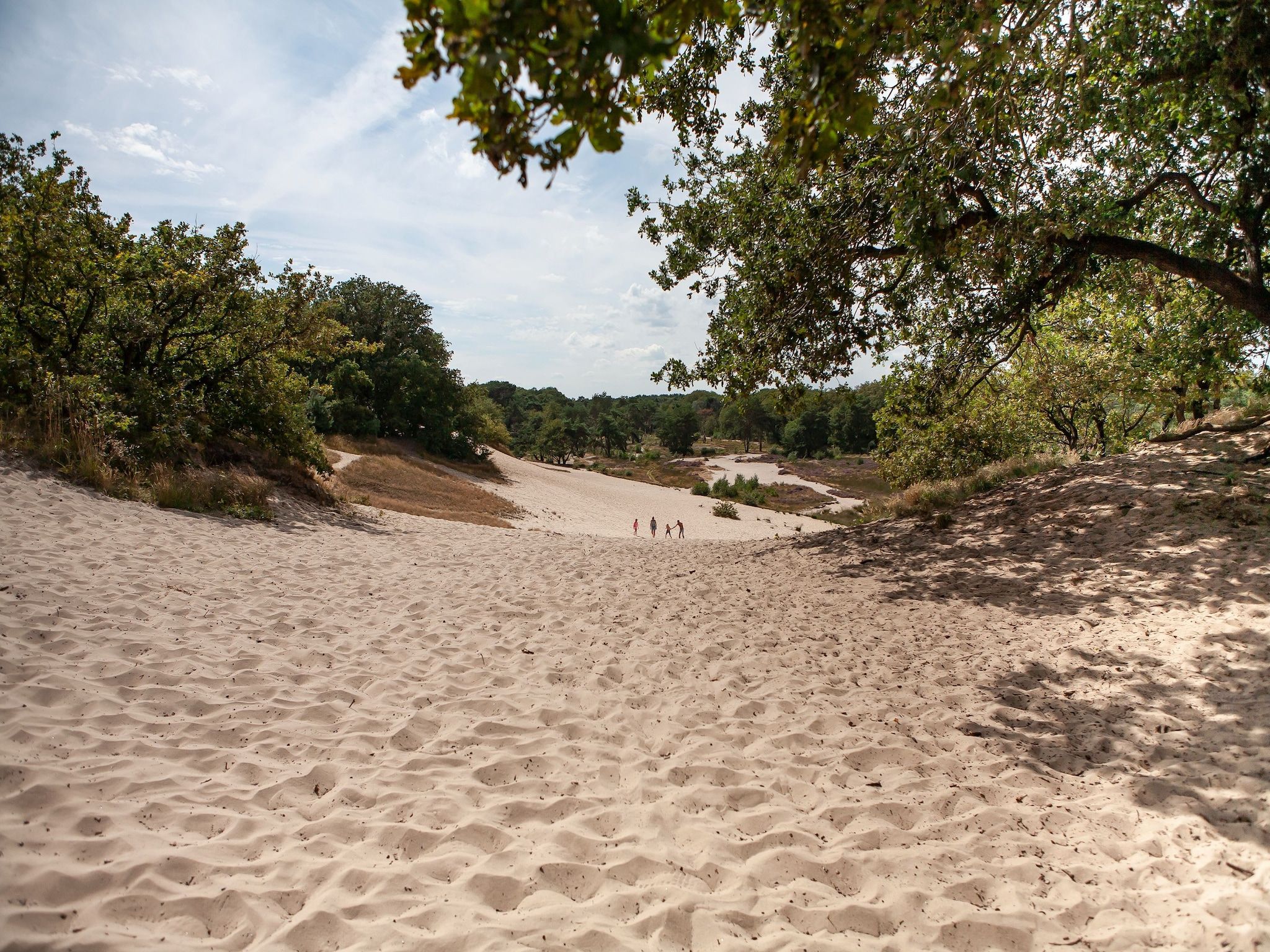 Vakantiepark Sandberghe 2 in Uden - Foto 27 van 40