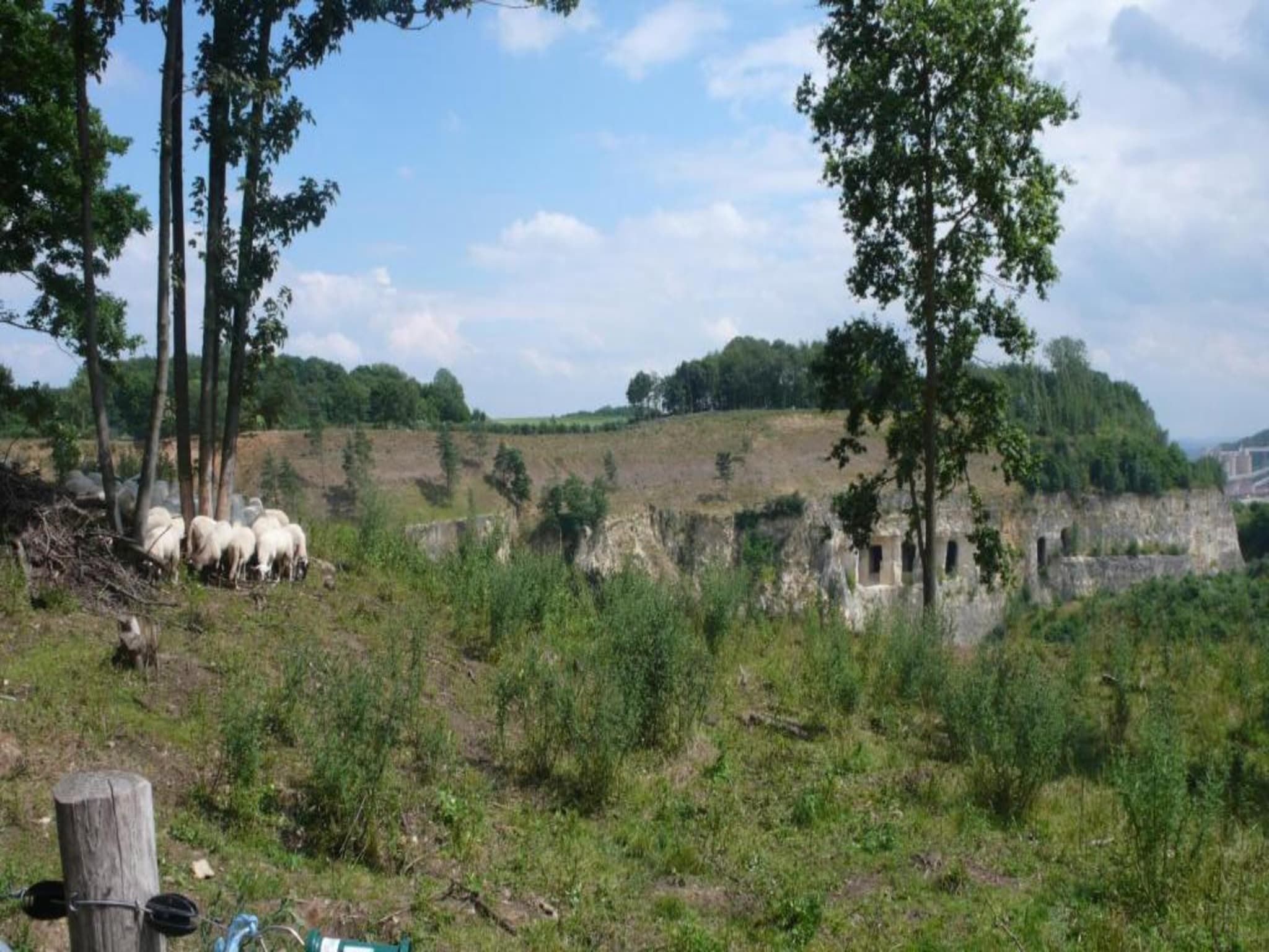 Resort Maastricht 4 in Maastricht - Foto 37 van 40