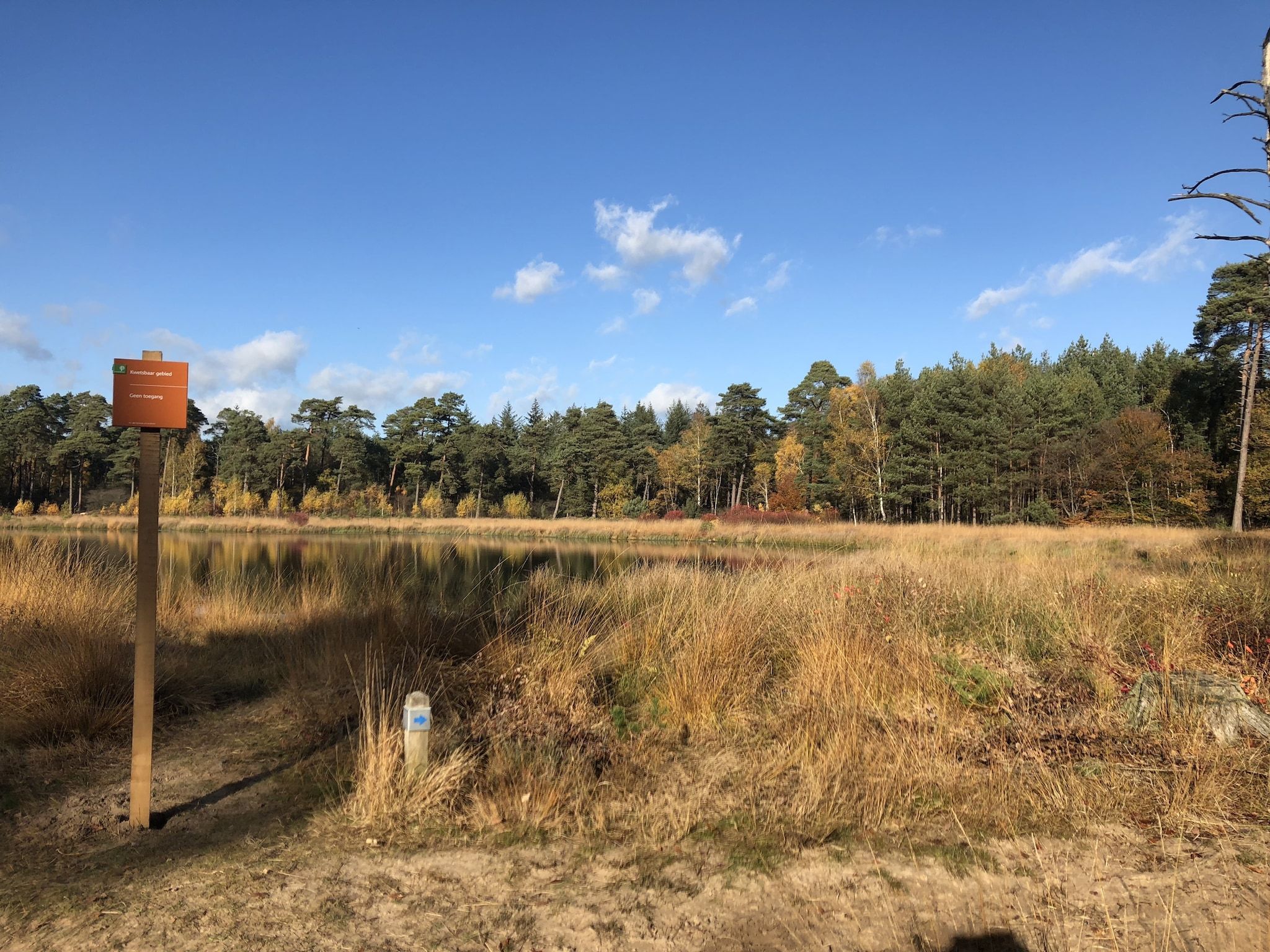 Landgoed de Klimberg in Rheezerveen - Foto 35 van 40