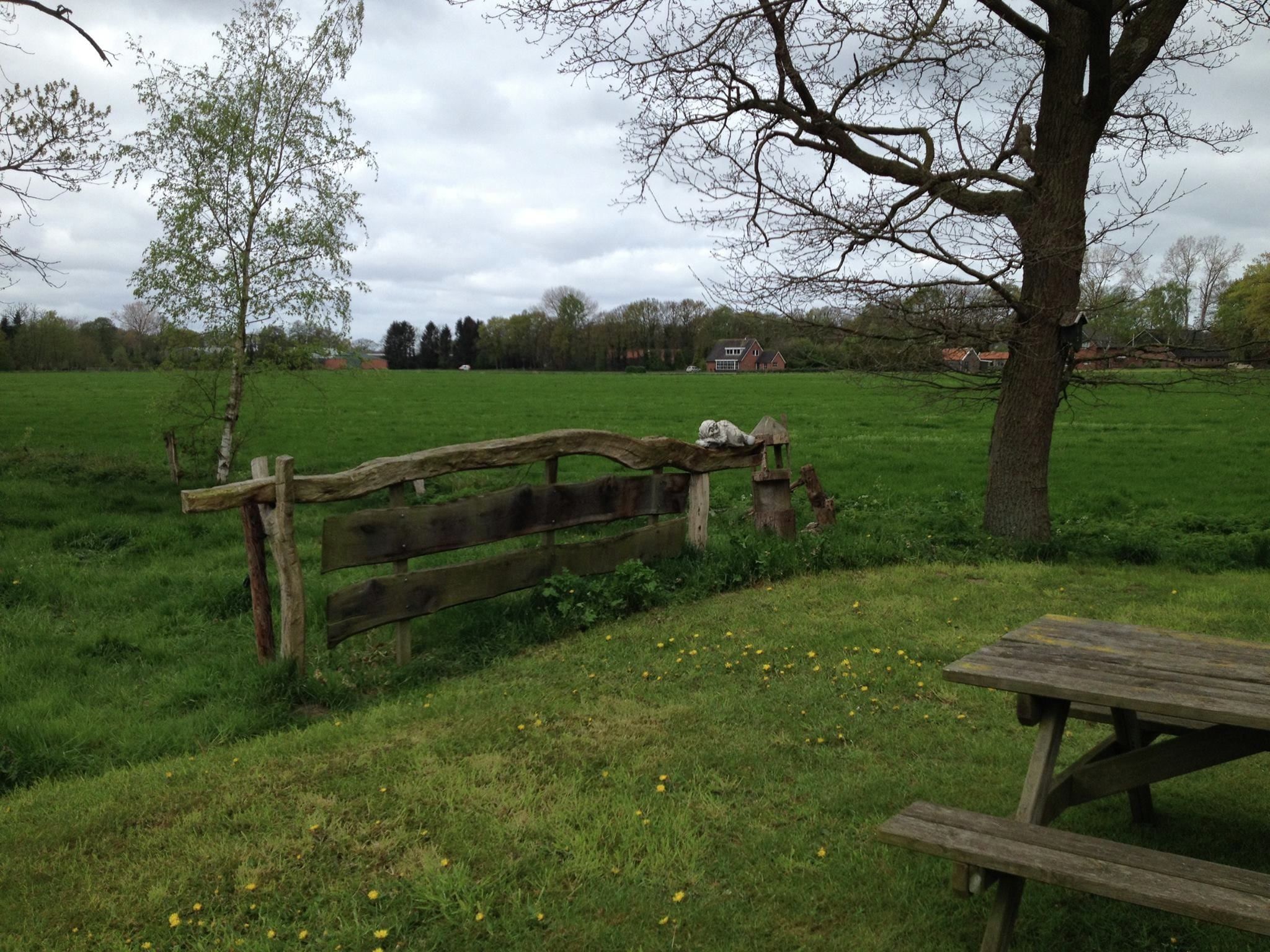 De tuin van Tuinpad in Geesteren