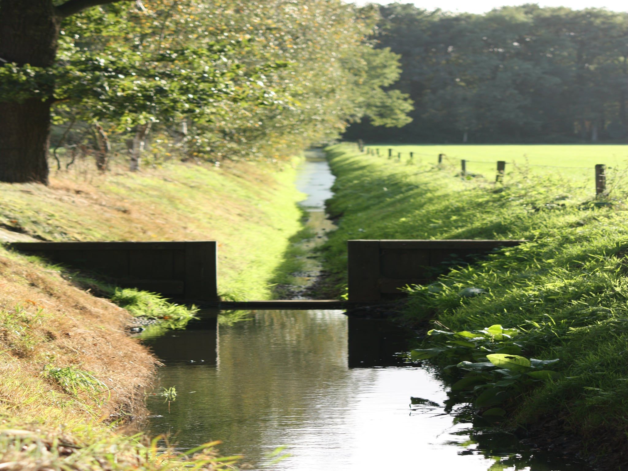 Tuinpad in Geesteren - Foto 25 van 40