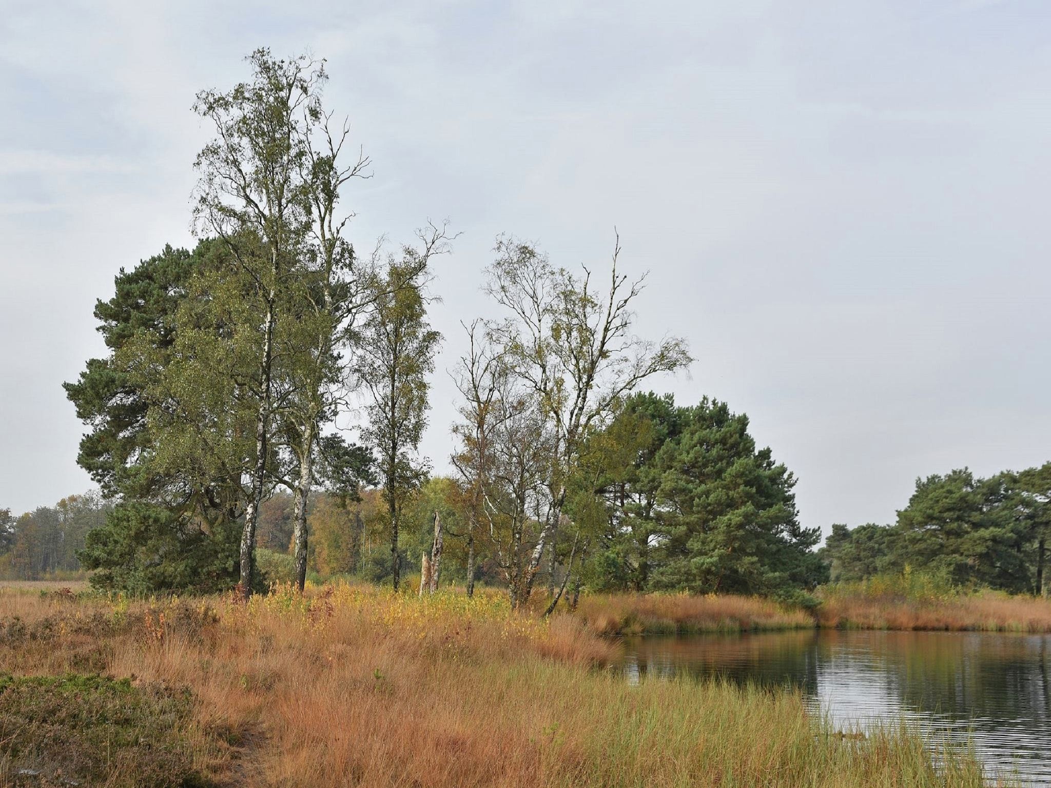 De omgeving van Tuinpad in Geesteren
