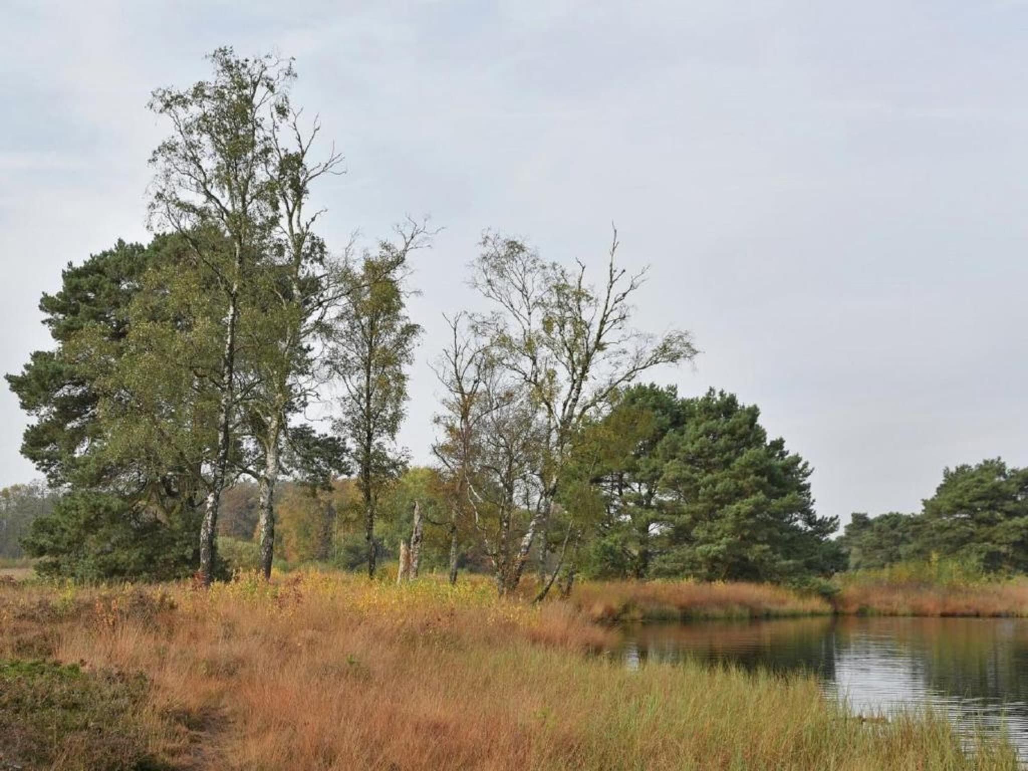 Tuinpad in Geesteren - Foto 35 van 40