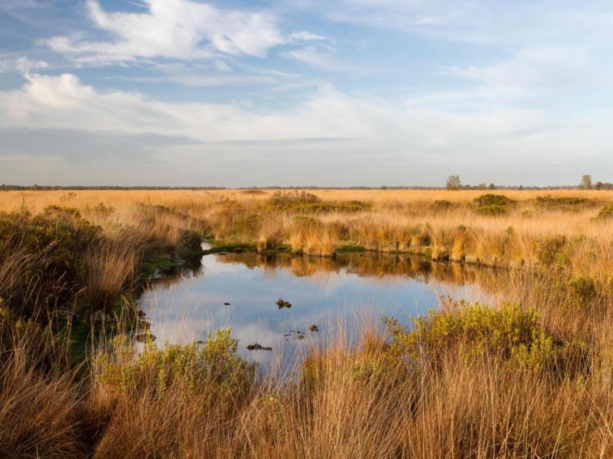 Tuinpad in Geesteren - Foto 33 van 40