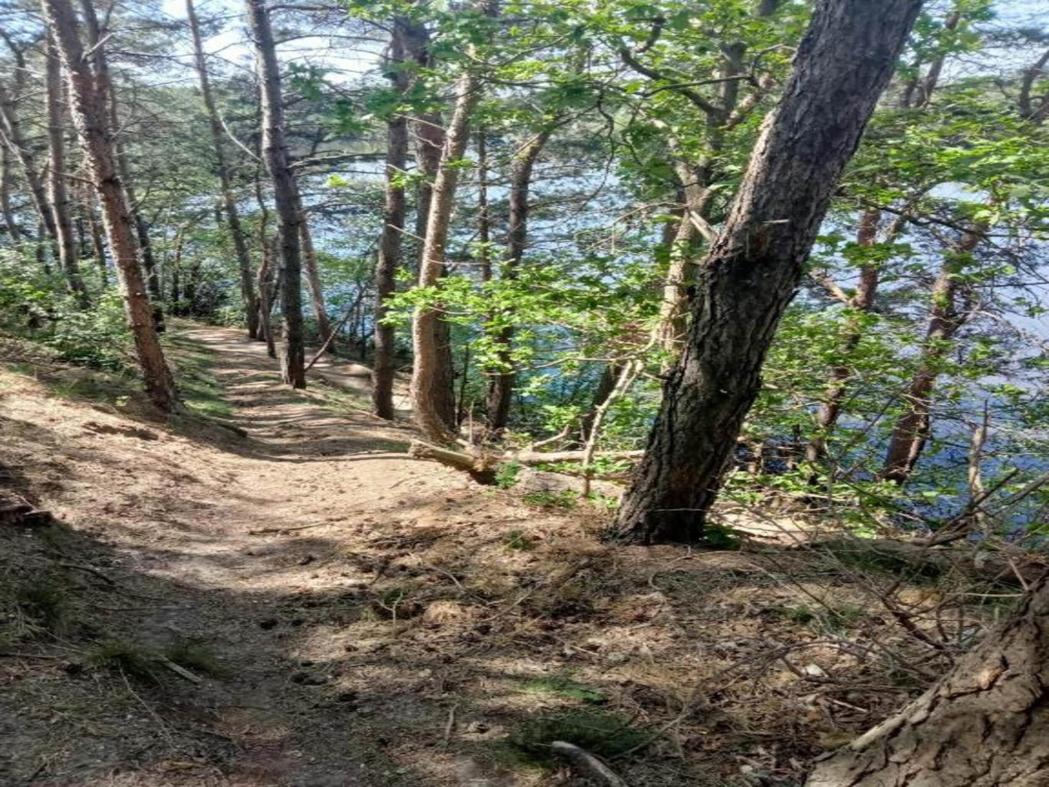 Tuinpad in Geesteren - Foto 34 van 40