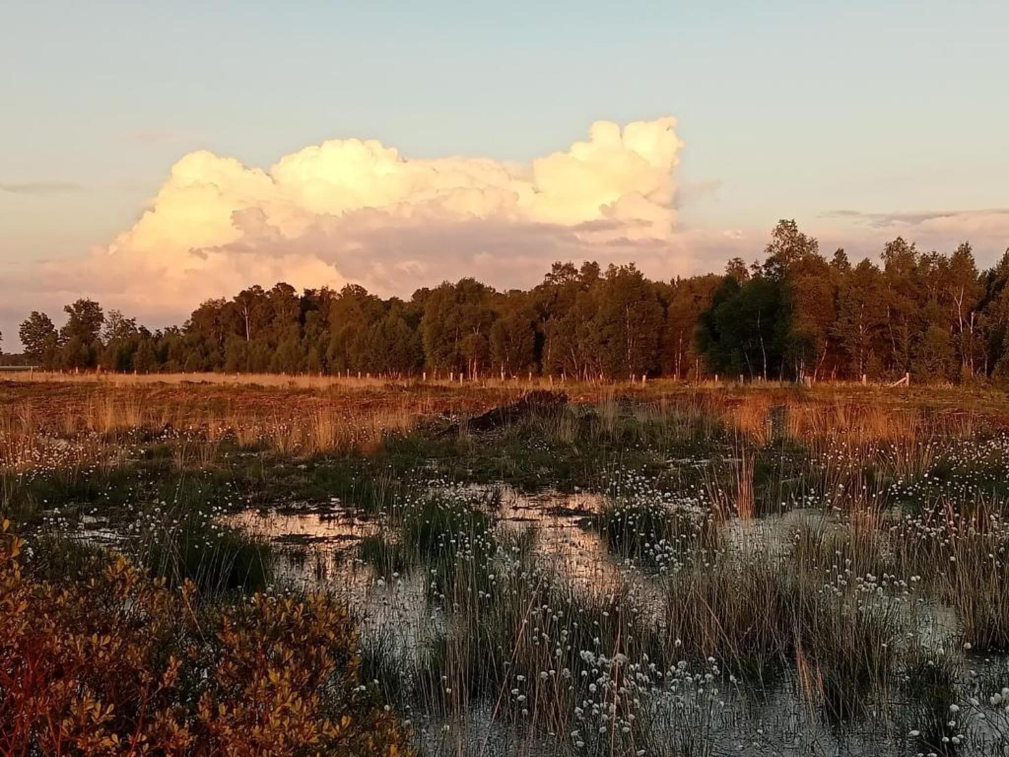 Tuinpad in Geesteren - Foto 31 van 40