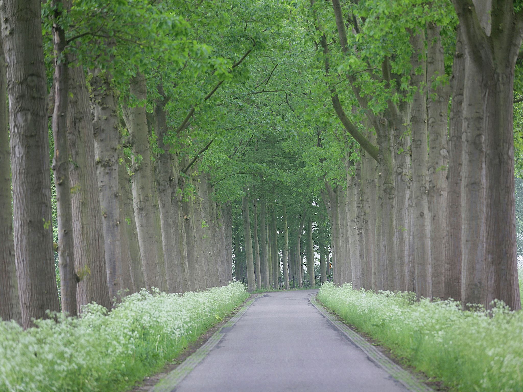 Hofstede Groot Blankenstein in Doorn - Foto 31 van 40