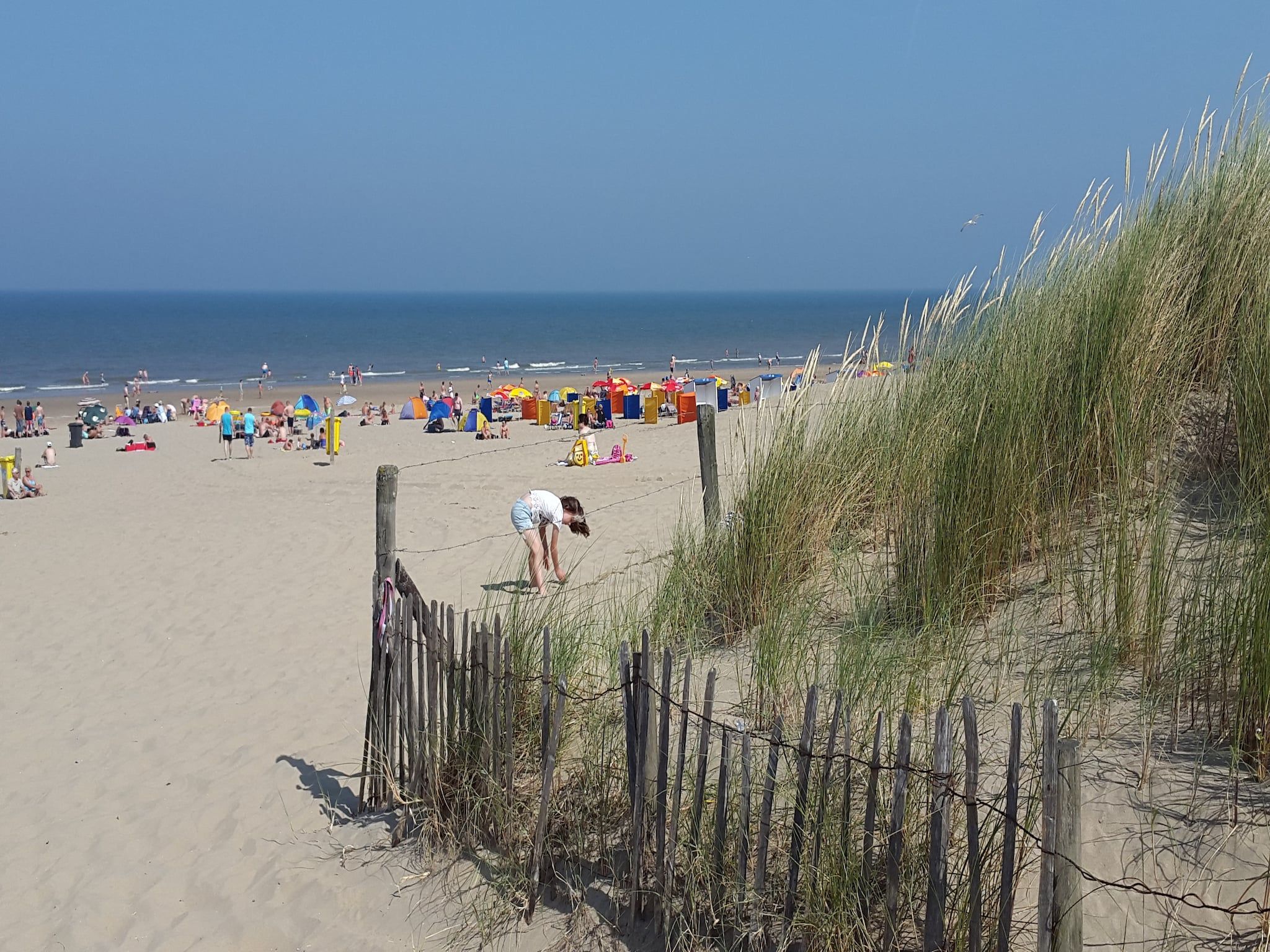 De omgeving van Searose in Noordwijk