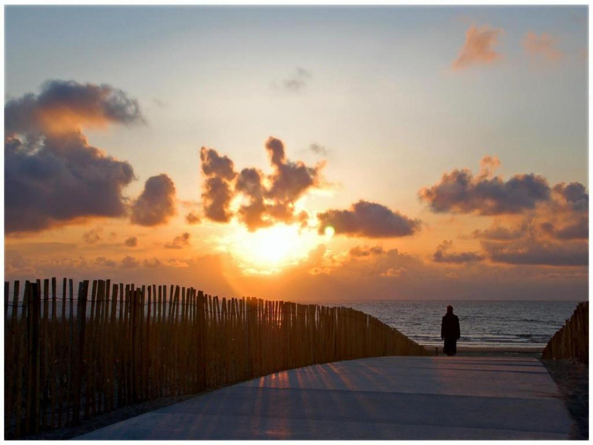 Searose in Noordwijk - Foto 32 van 40