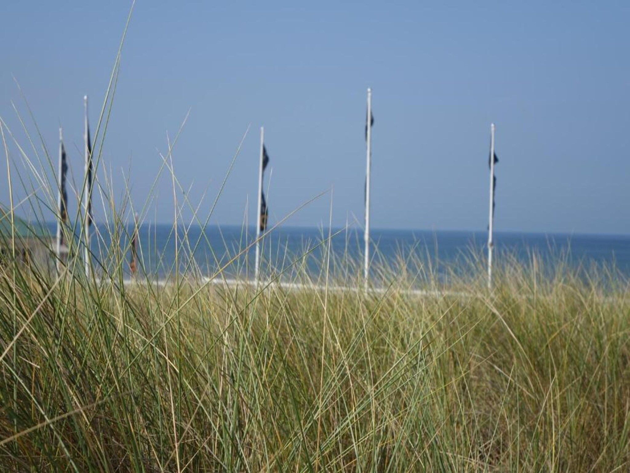 Searose in Noordwijk - Foto 31 van 40