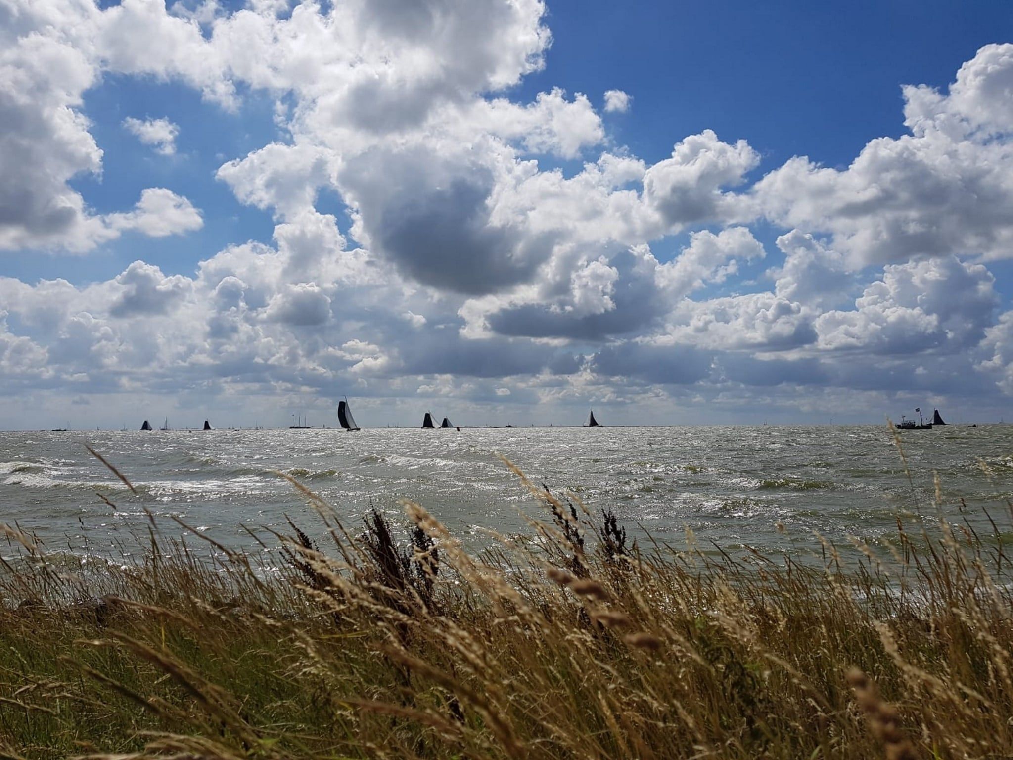 Luna in Stavoren - Foto 28 van 40