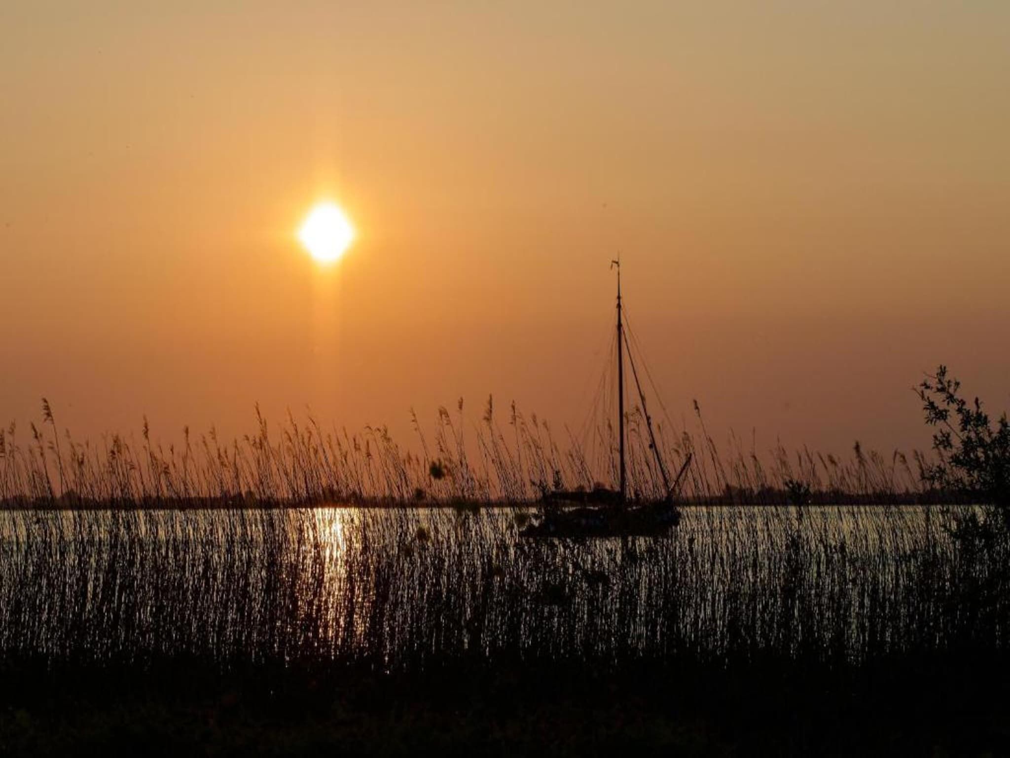 Luna in Stavoren - Foto 29 van 40