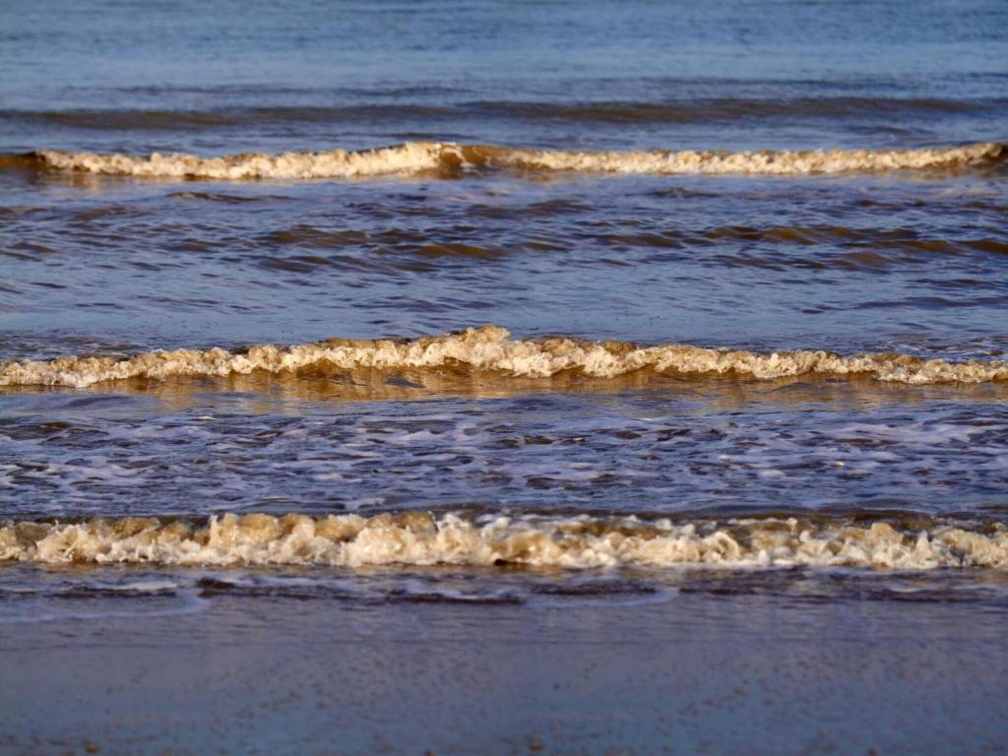 Groot Hof ter Zand in Zuidzande - Foto 40 van 40
