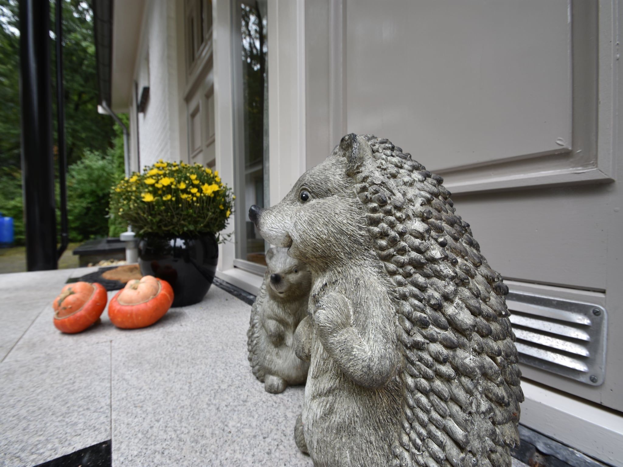 Sfeerbeeld van 't Woudhuis in Holten