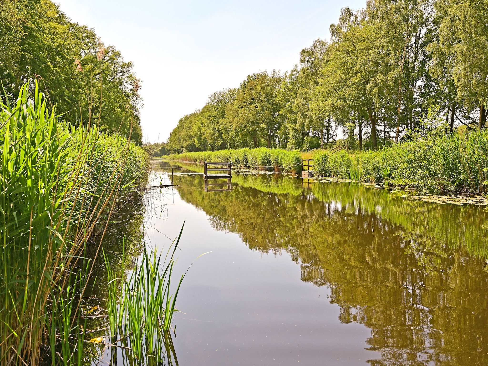 Zijzicht in Reutum-Weerselo - Foto 36 van 39