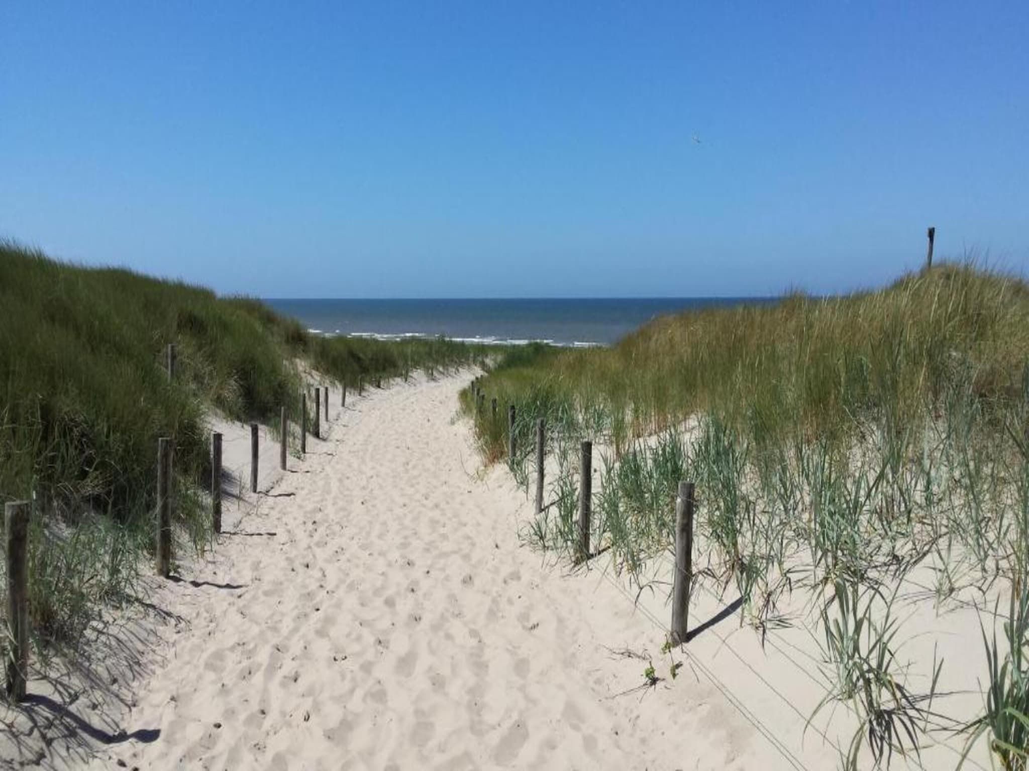 Zilte Bries in Callantsoog - Foto 28 van 35