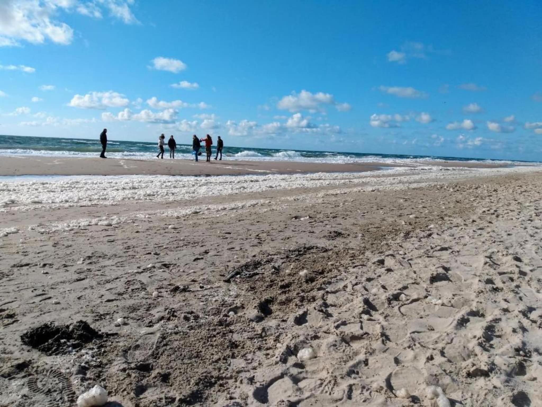 Zilte Bries in Callantsoog - Foto 30 van 35